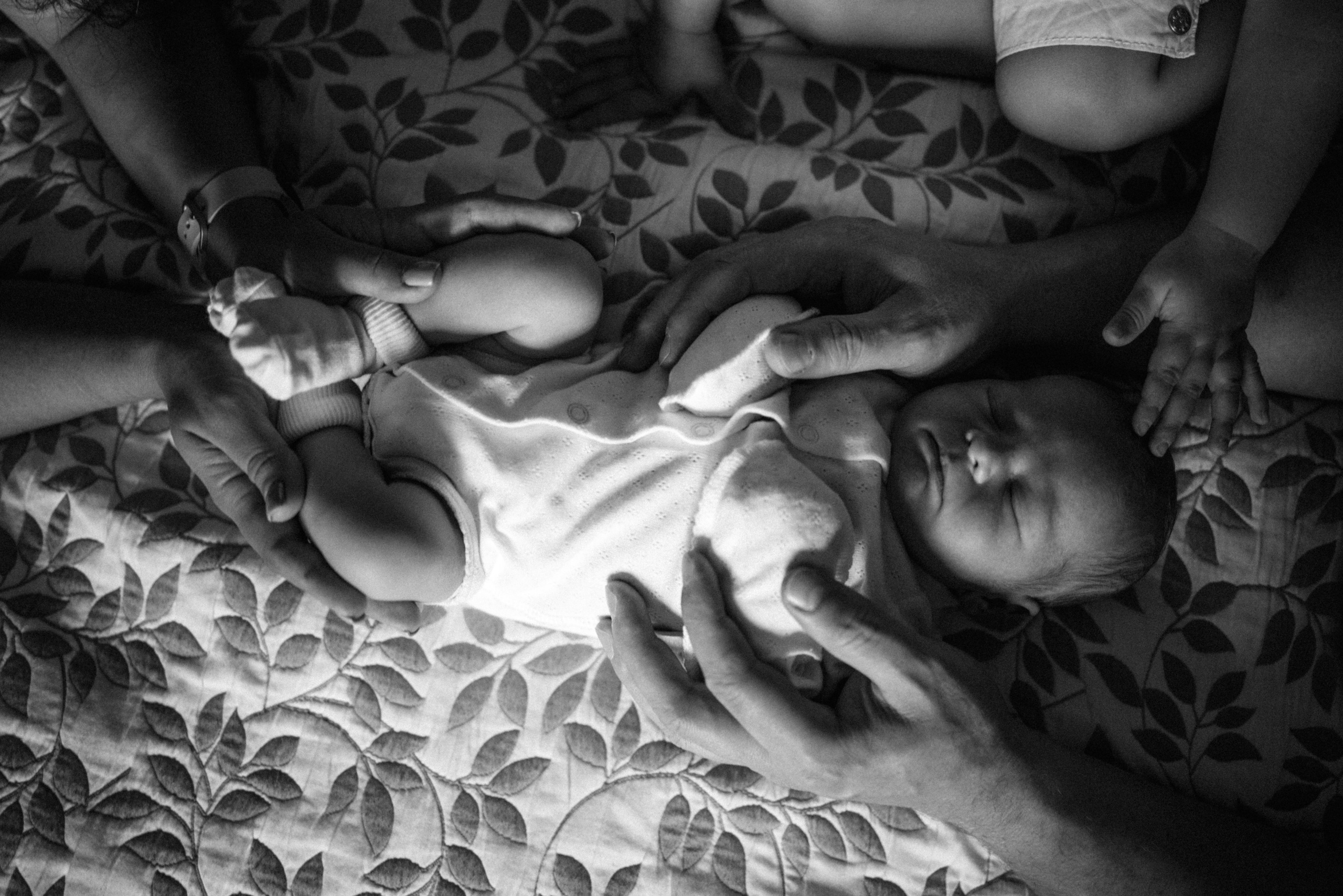 Домашние. Главная