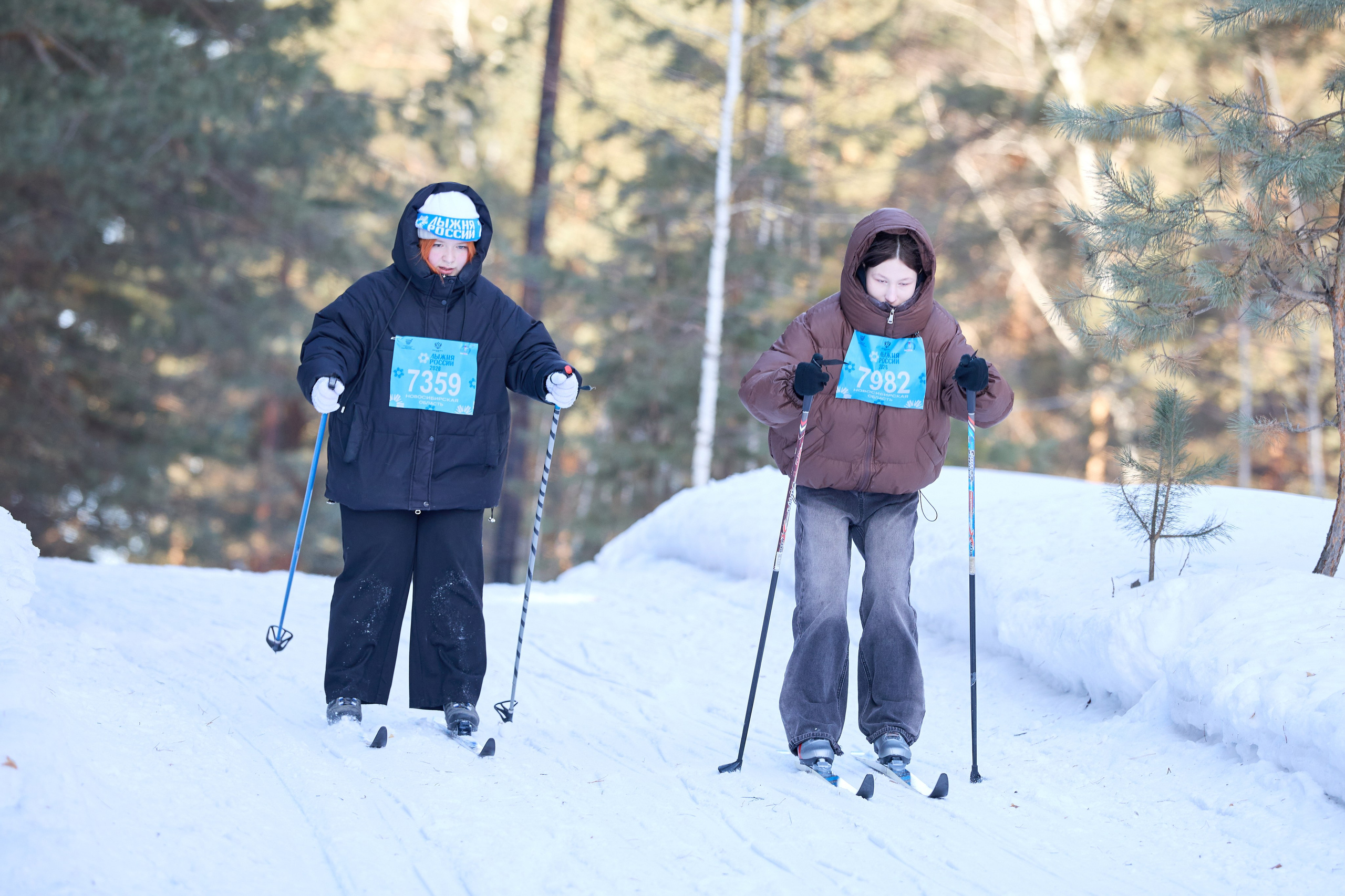 «Лыжня России — 2026» г. Бердск. Фотограф в Новосибирске Алена Скокова