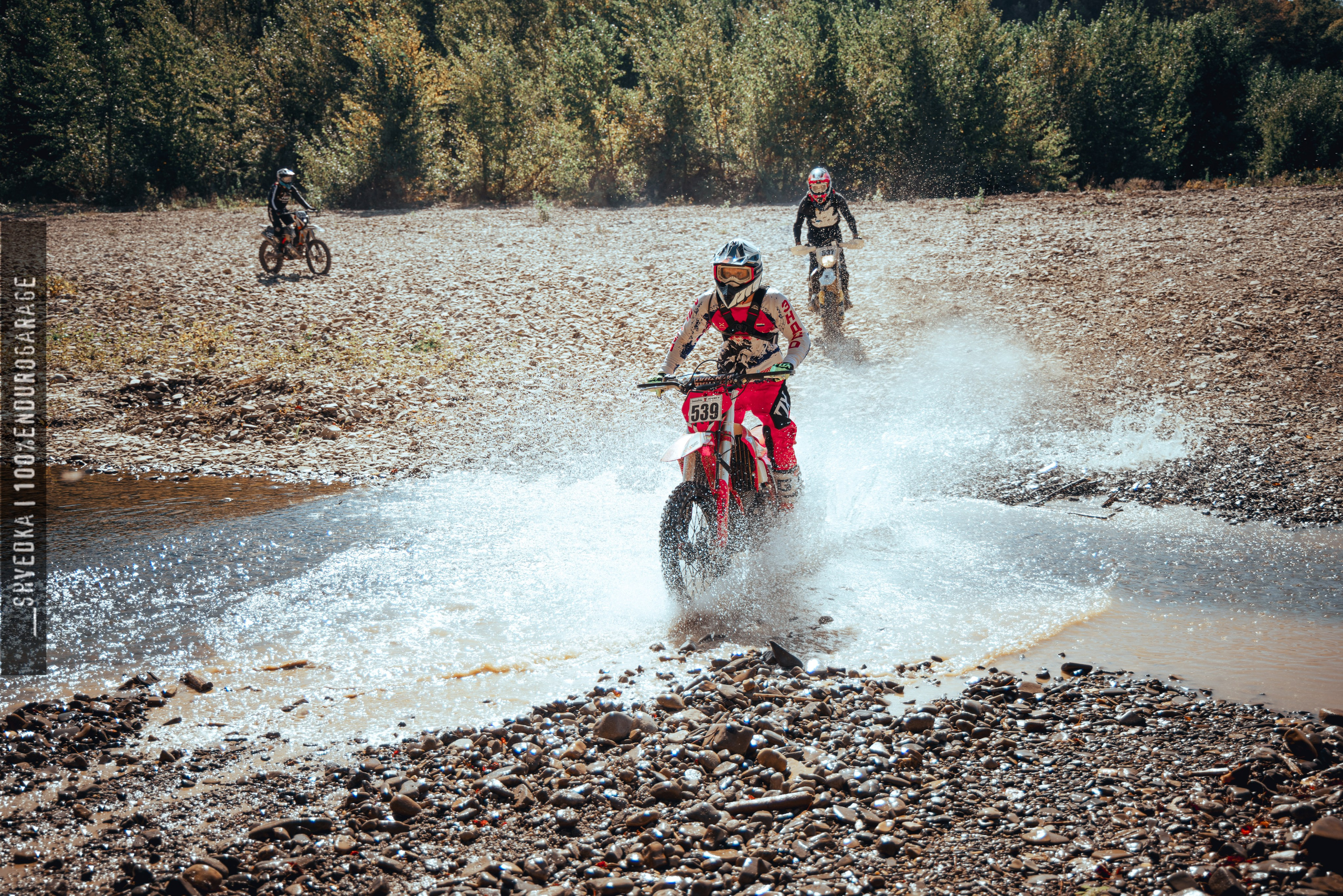 1 лесной день. Ваш экстрим фотограф Кудрева Яна