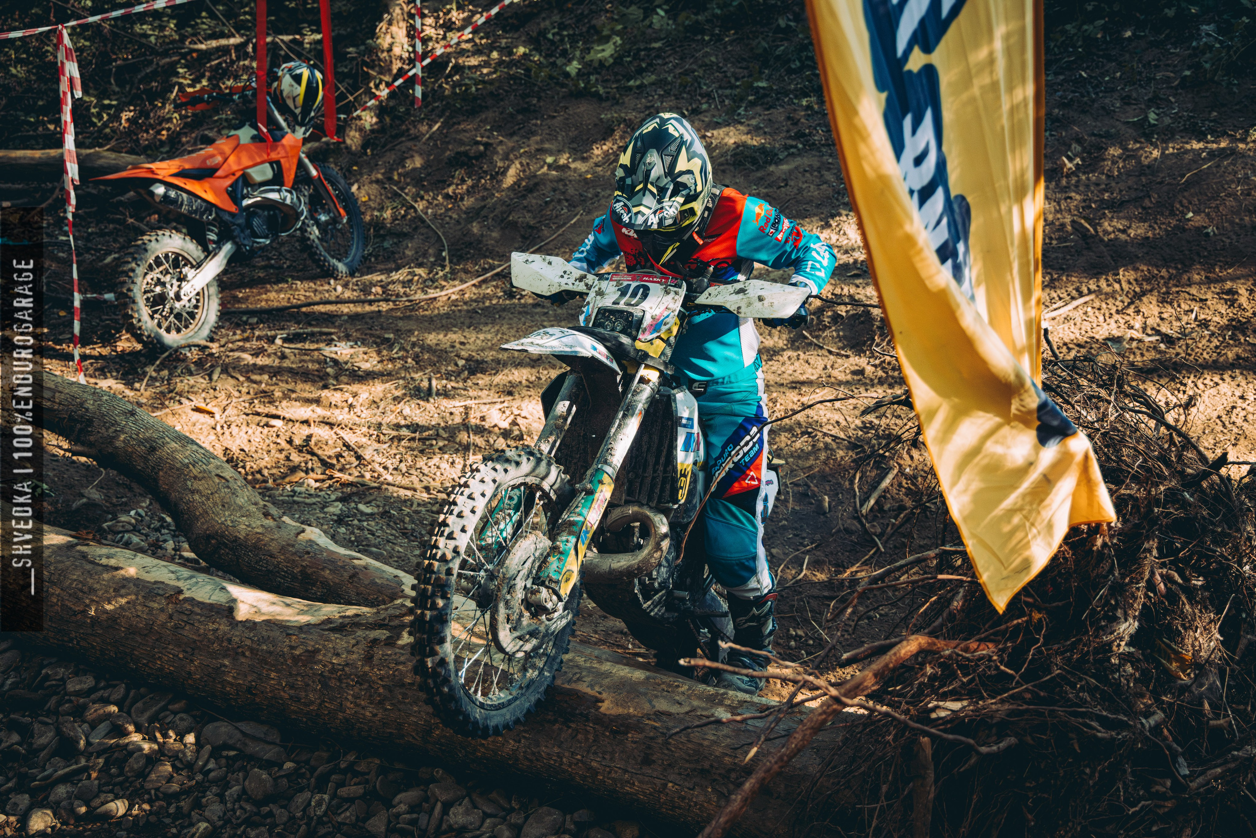 2 лесной день. Ваш экстрим фотограф Кудрева Яна