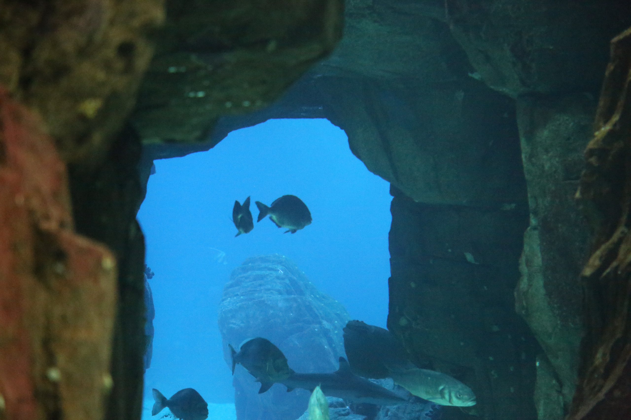 Lisbon, Portugal. Andrey Filippov Photographer