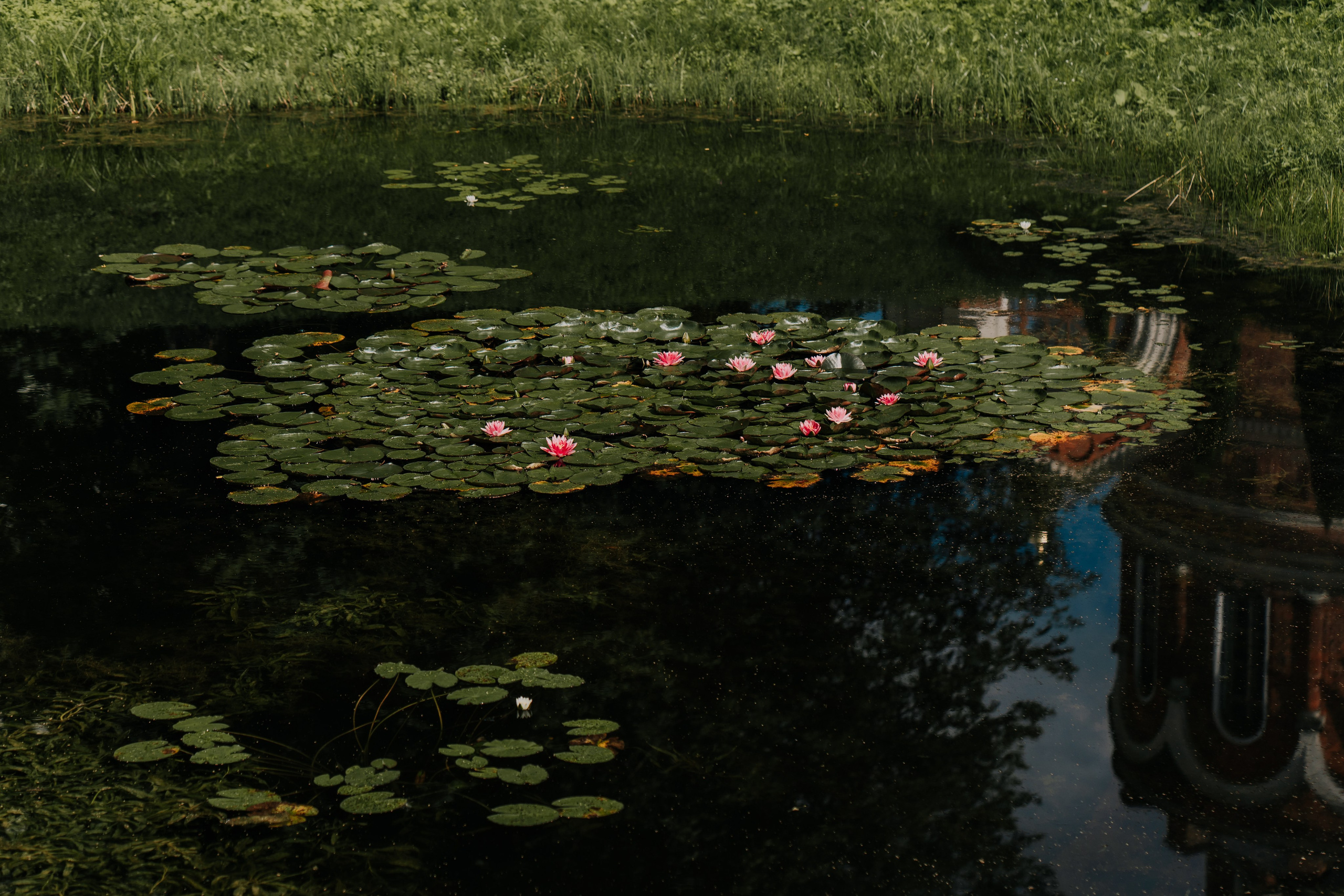 Максим и Катя. Свадебный фотограф в Можайске и Москве