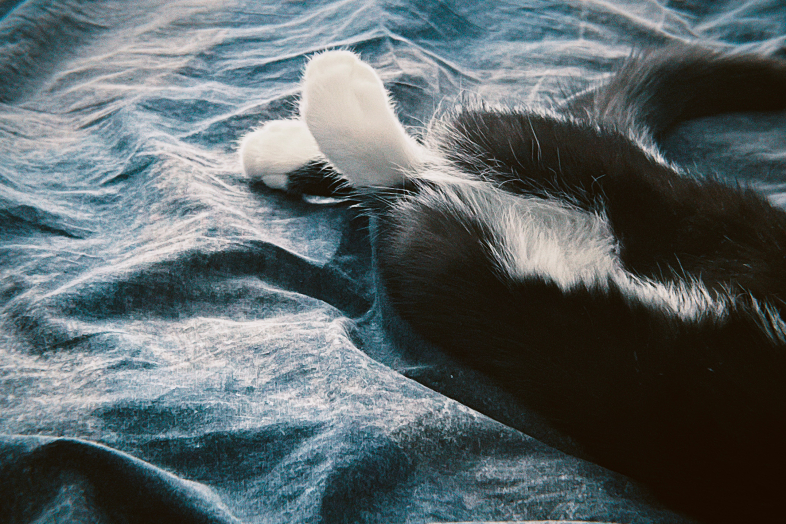 Визуальный дневник. Портретный фотограф в Москве Гахраманова Екатерина