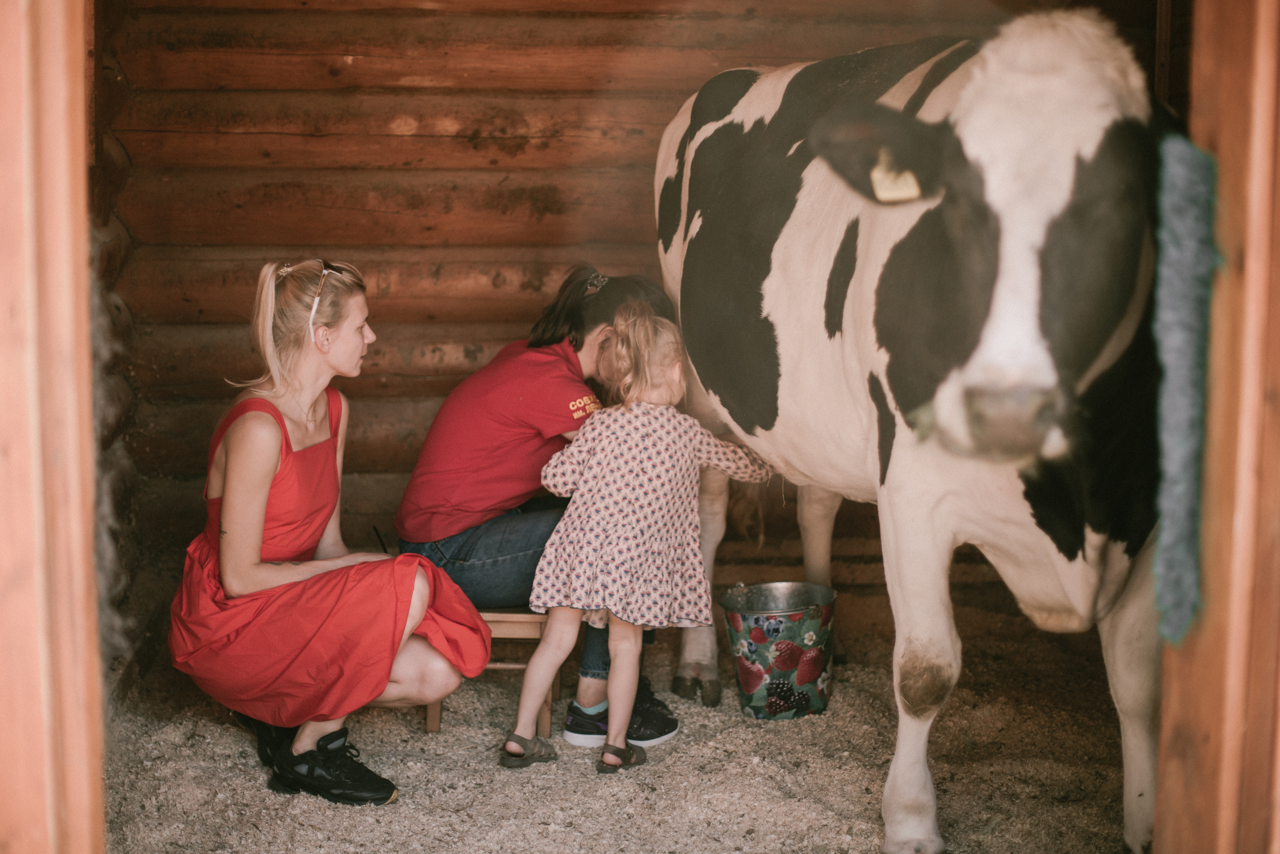 Zoo: Контактный зоопарк или Матвею 3 года!. Фотограф