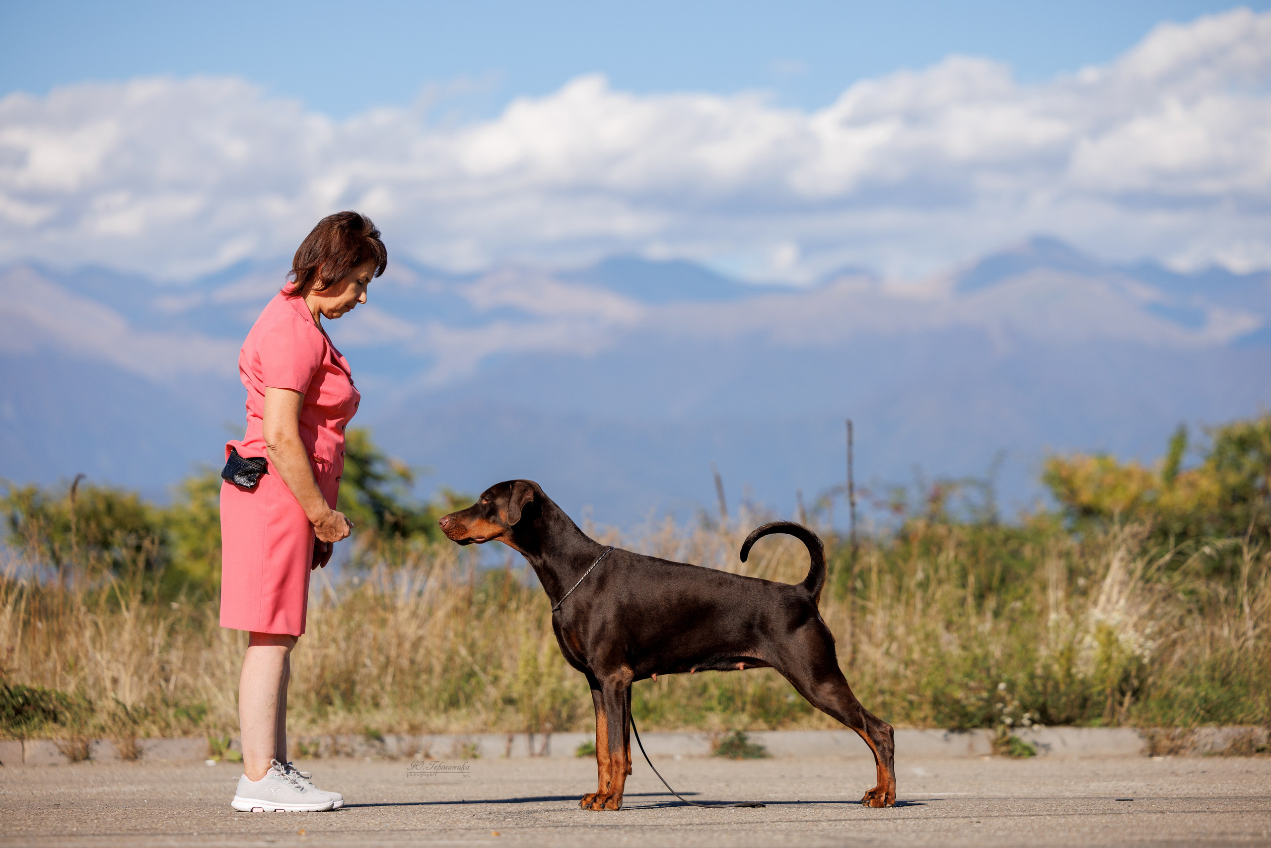 Телави 11-12.10.2025. Фотограф-анималист Юлия Германика
