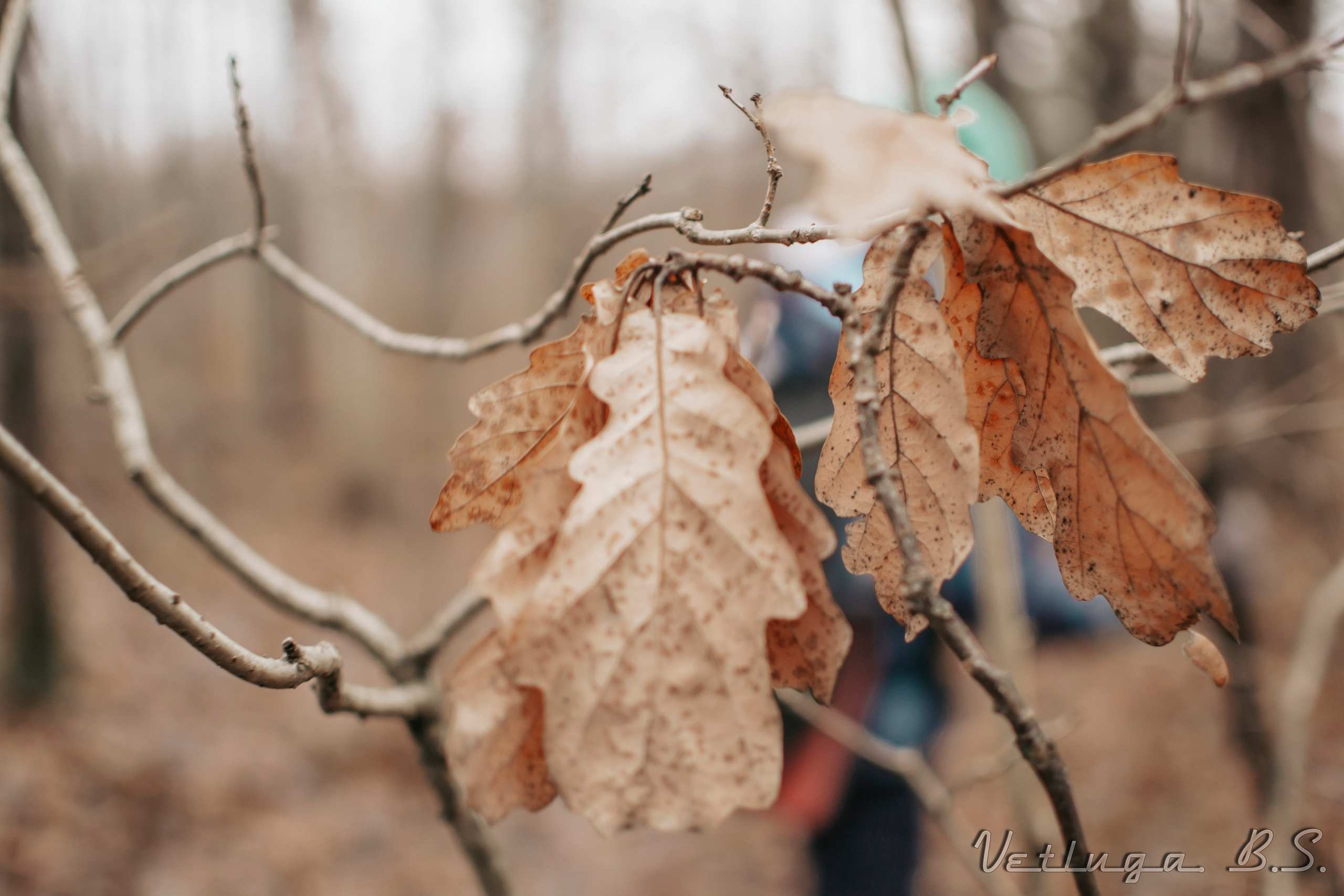 Поход 2. Фотограф в Ветлуге Сергей Белов (VETLUGA B.S.)