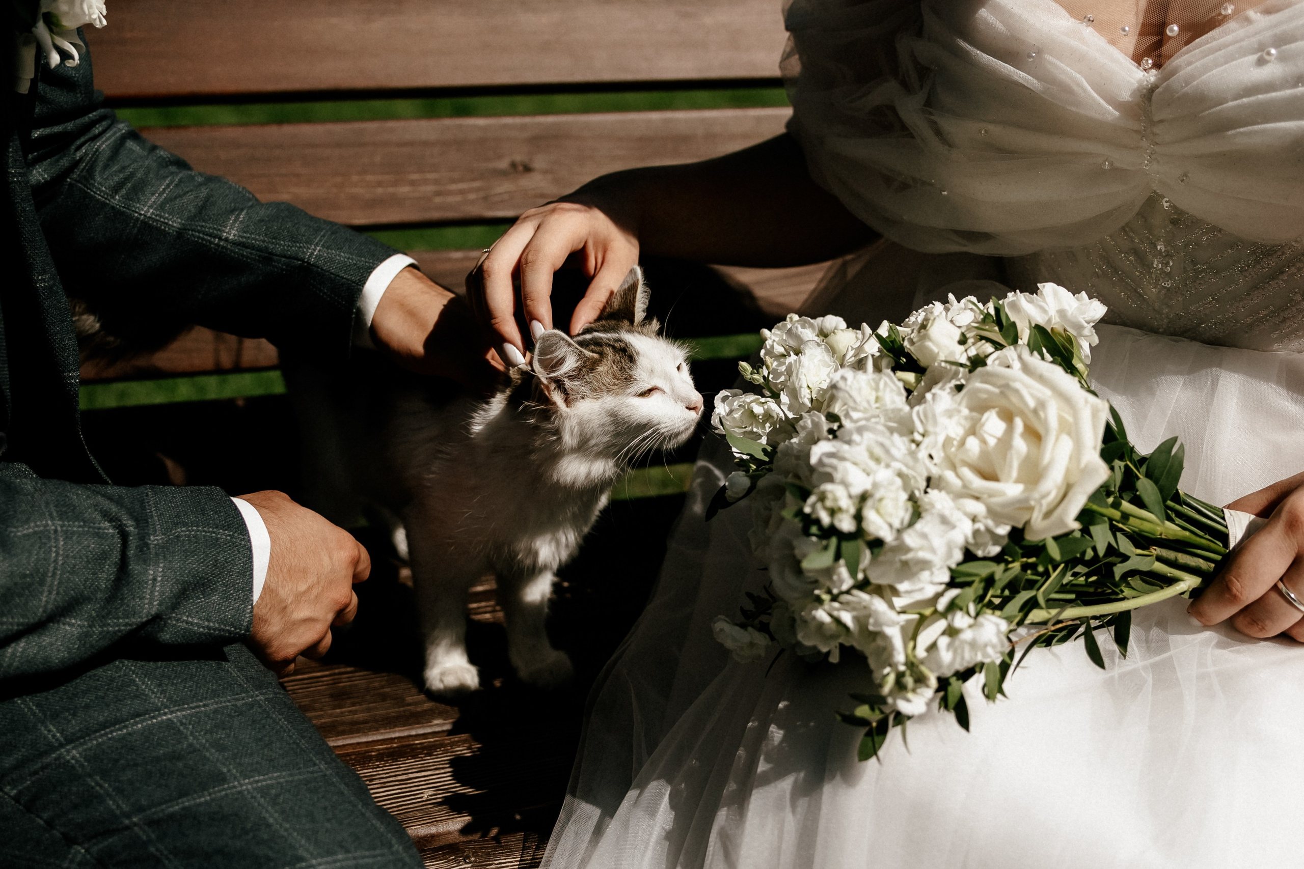 Паша и Настя. Организатор мероприятий в Абакане I Ольга Петухова