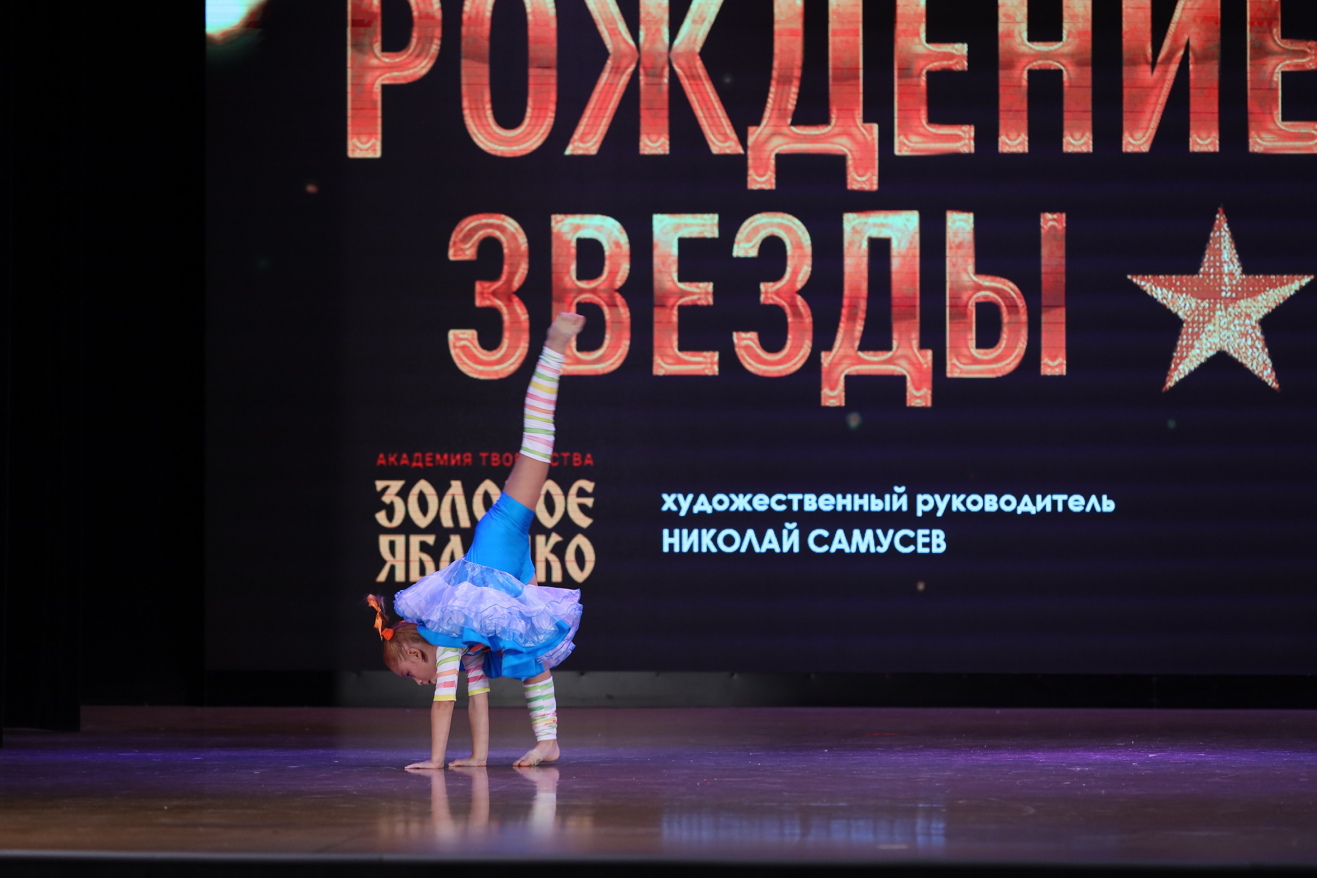 4 ноября, блок 1, видео, номера 49-58, г. Краснодар. Золотое яблочко