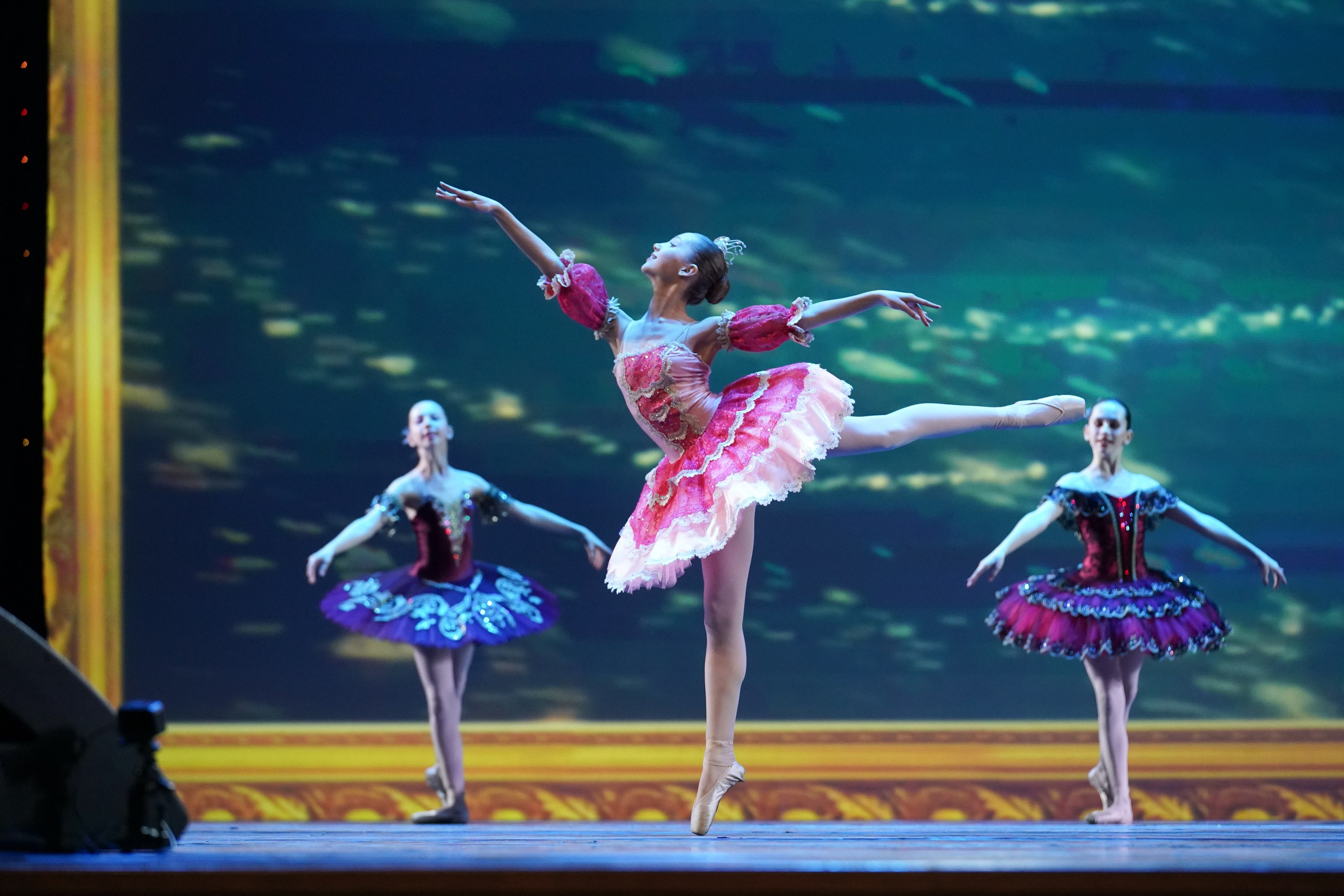 19 мая, отделение 1, г. Москва, Кремль. Золотое яблочко