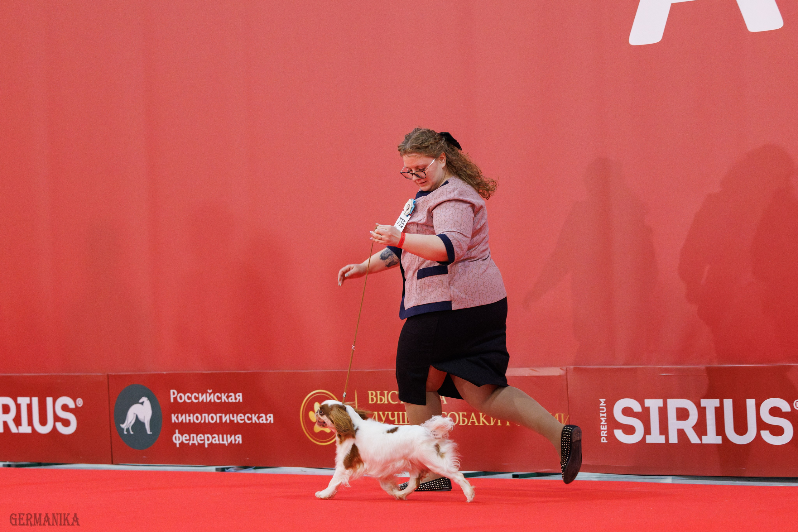 Лучшие Собаки России 17-18.02.2024. Фотограф-анималист Юлия Германика