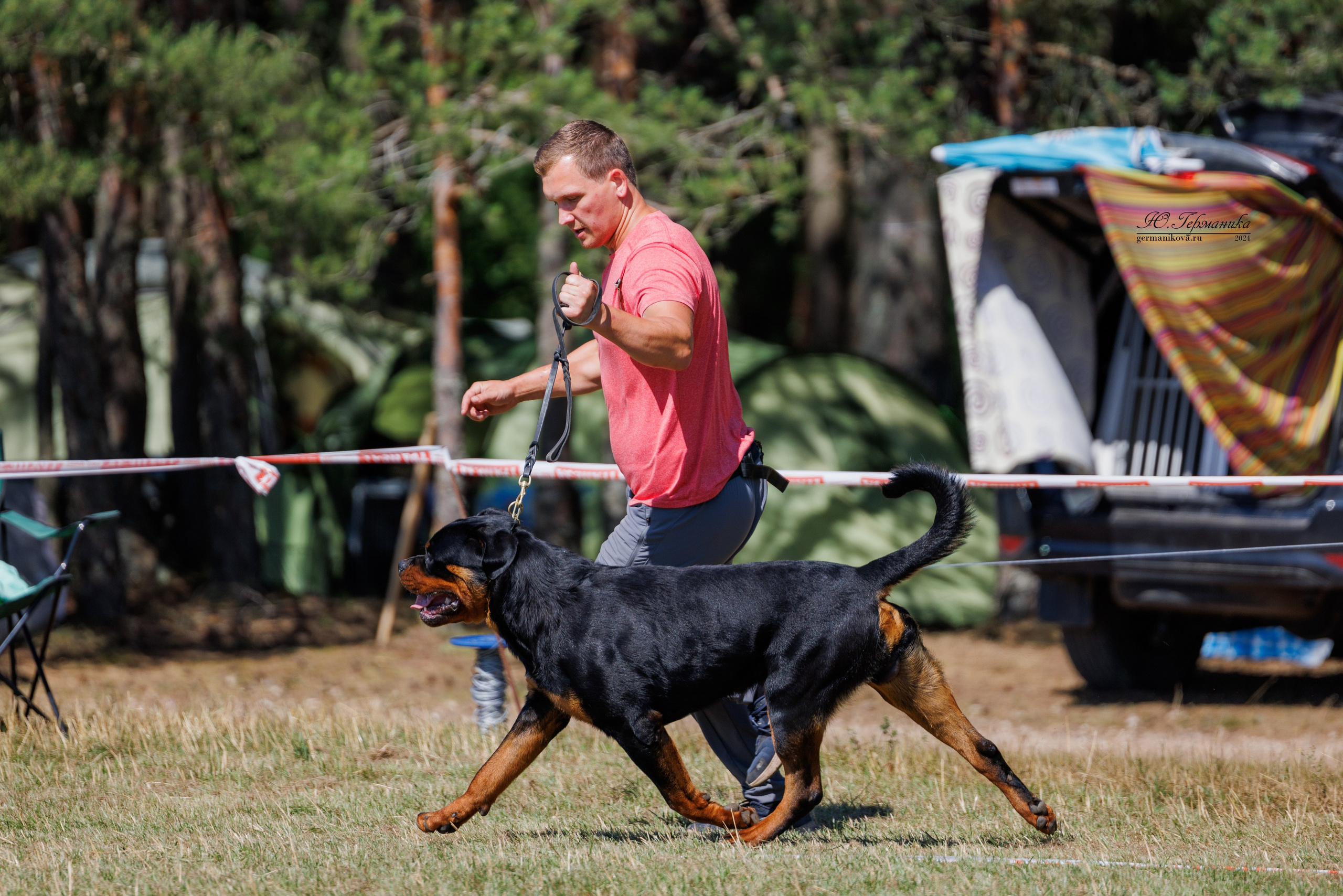 ПК и КЧК ротвейлеры Тверь 6-7.07.2024. Фотограф-анималист Юлия Германика