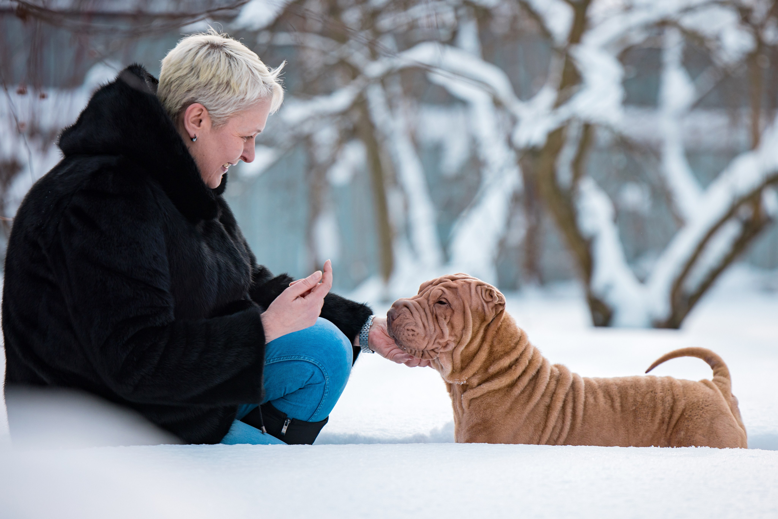 В гостях у шарпеев 16.01.2024. Фотограф-анималист Юлия Германика