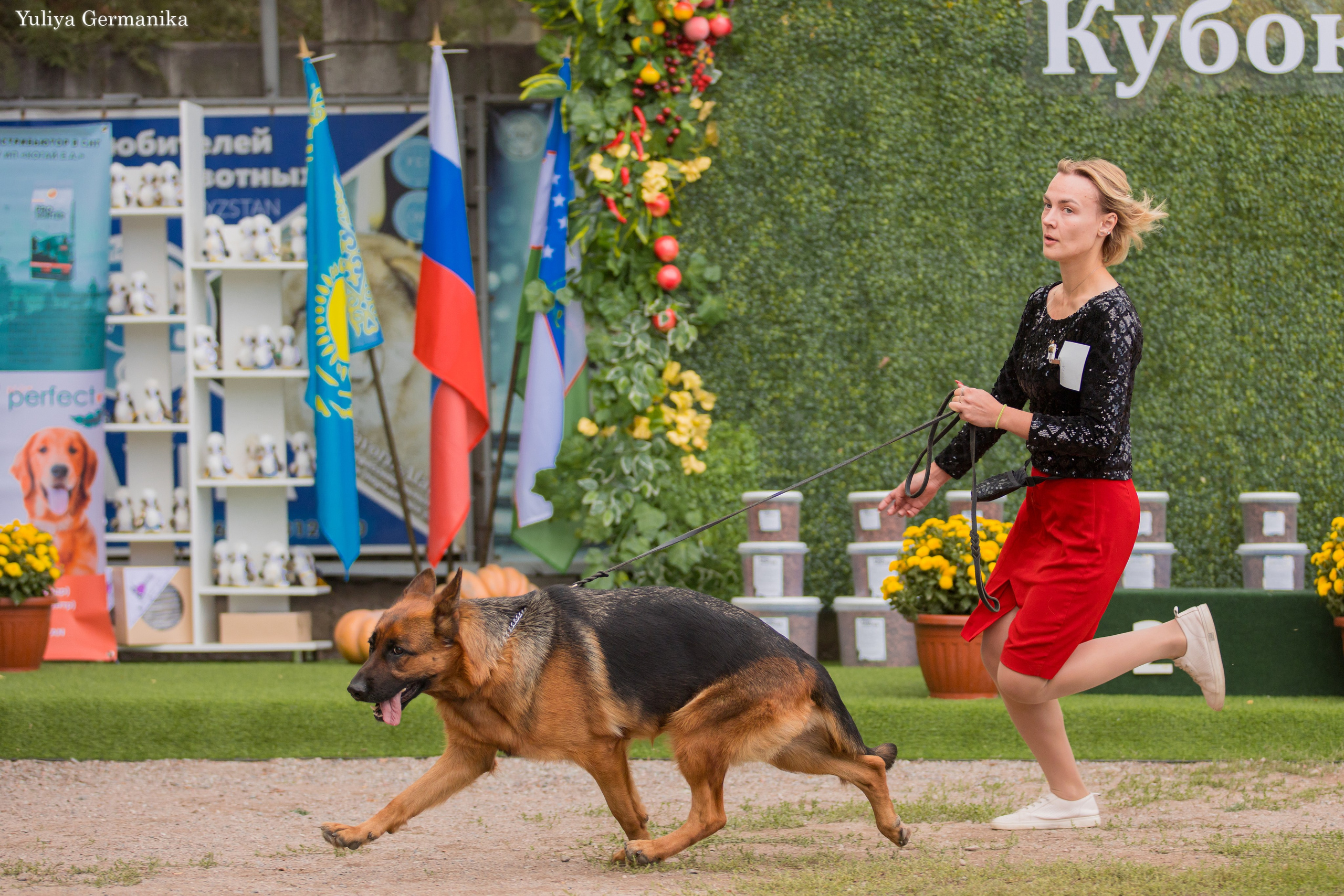 Бишкек 29.09-01.10.2023. Фотограф-анималист Юлия Германика