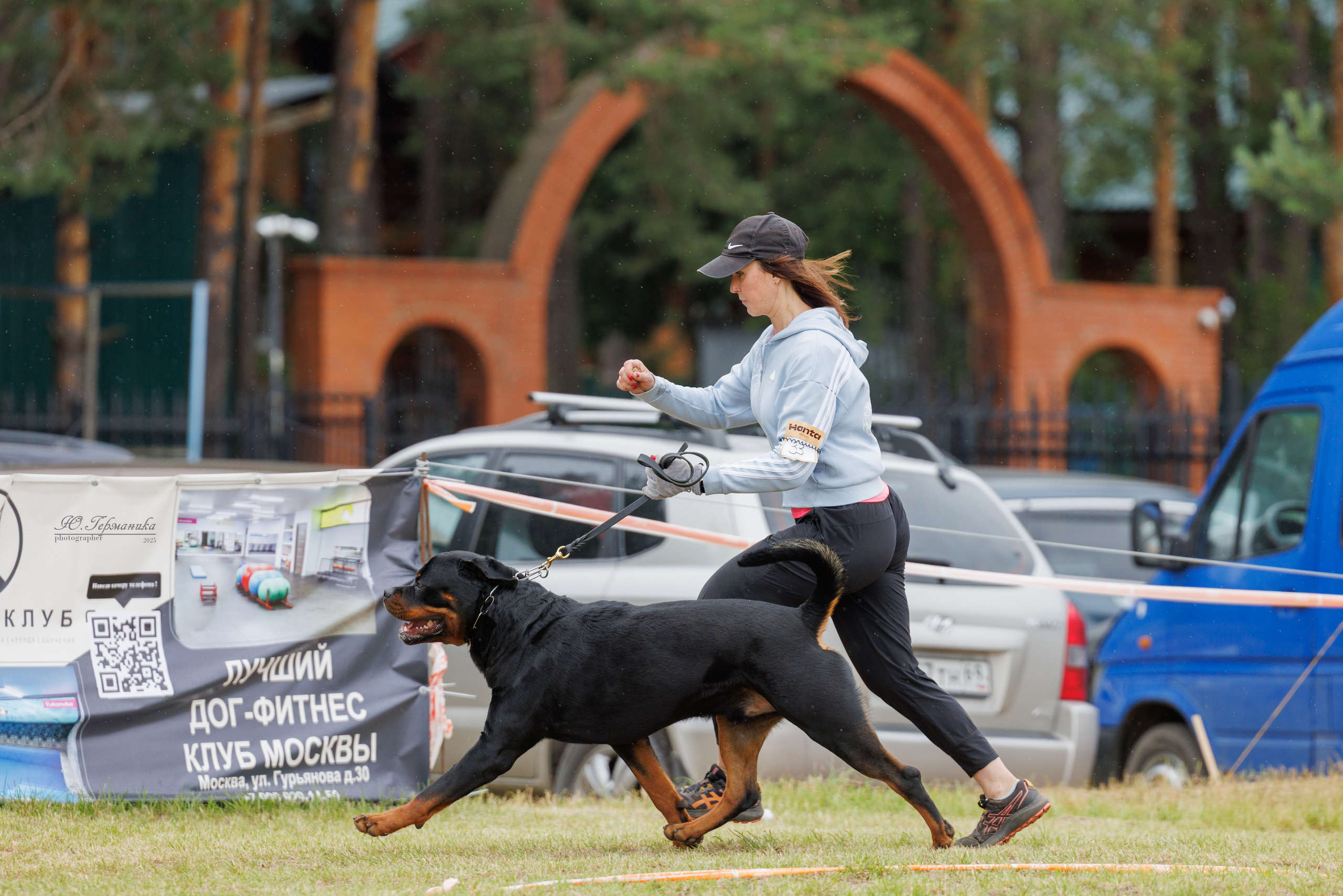 Тверь ротвейлеры 5-6.07.2025. Фотограф-анималист Юлия Германика