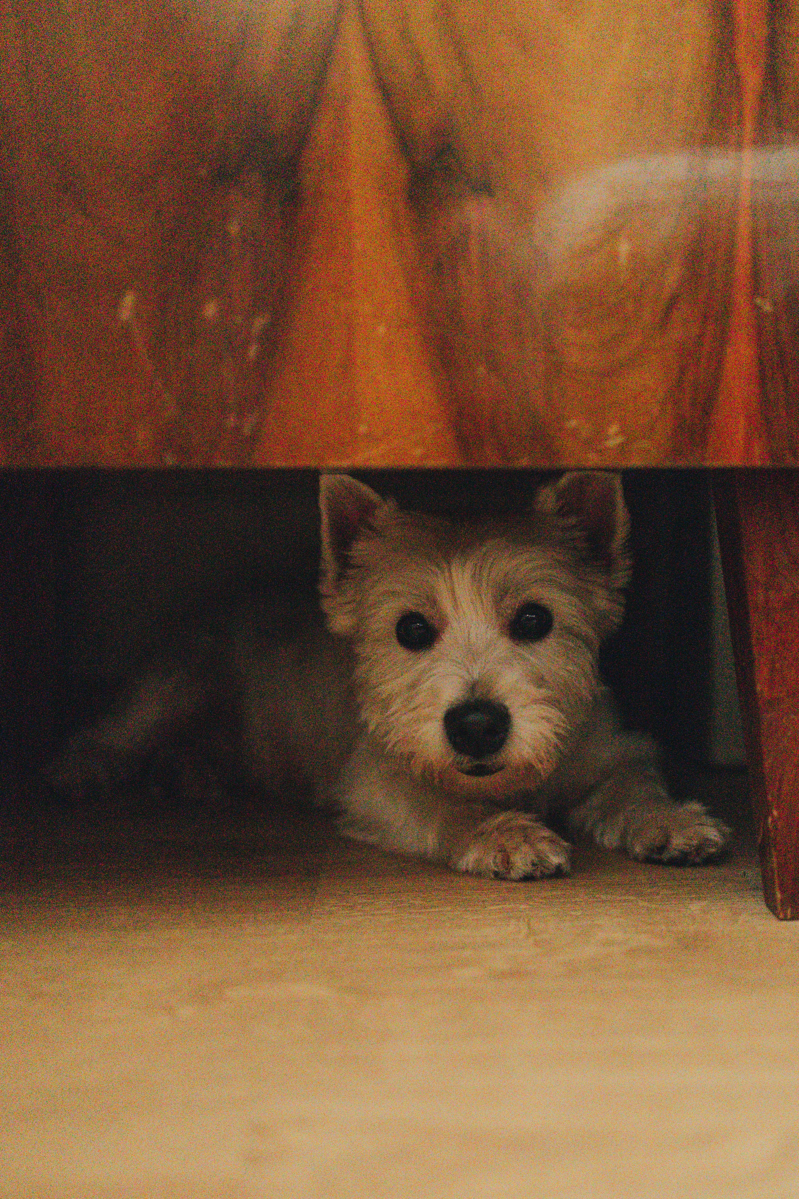 Фотосессия в честь рождения Ромы. Семейный и детский фотограф в Москве Маргарита Сереброва