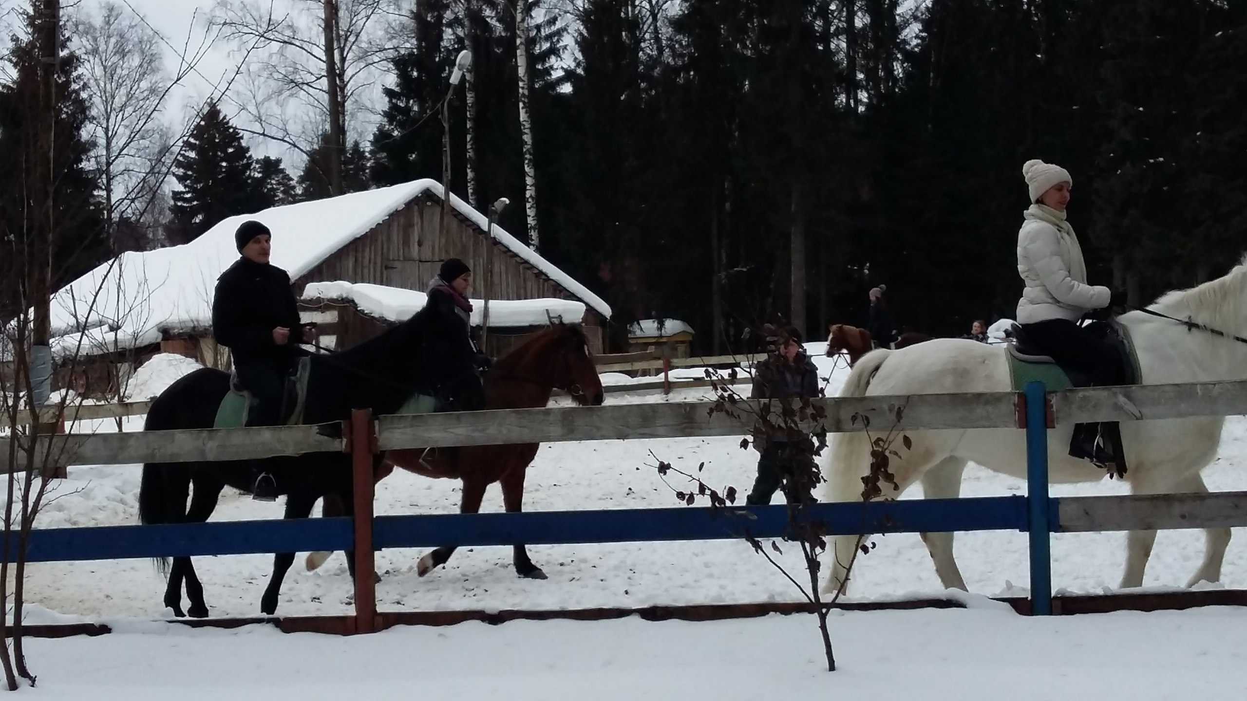 Активные выходные |18-19.02.2017. Галерея Фантим