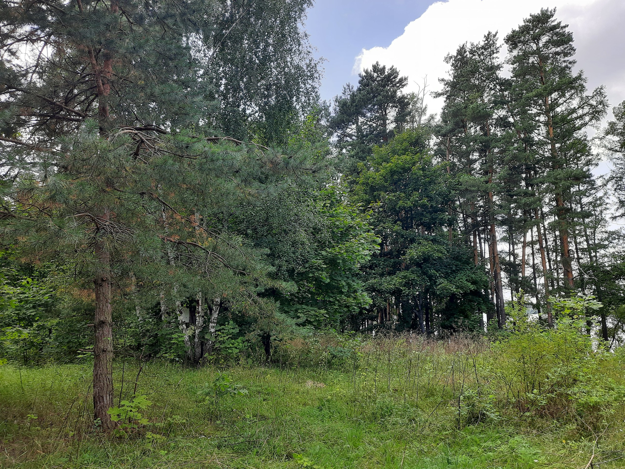 Походная Романтика 37. В Пятнице — петь! | 2021. Галерея Фантим