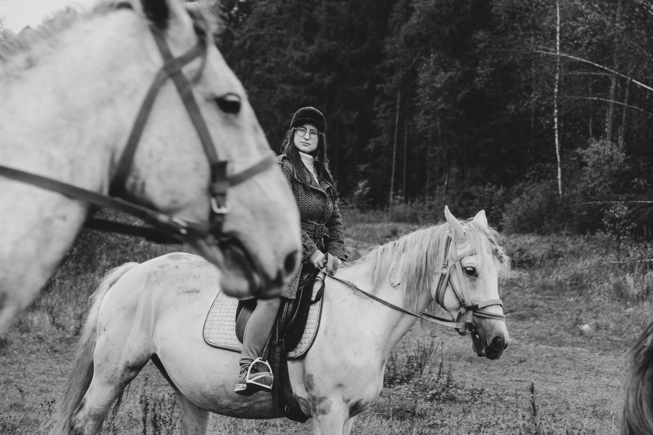 Лошадинг | 27.09.2025. Галерея Фантим