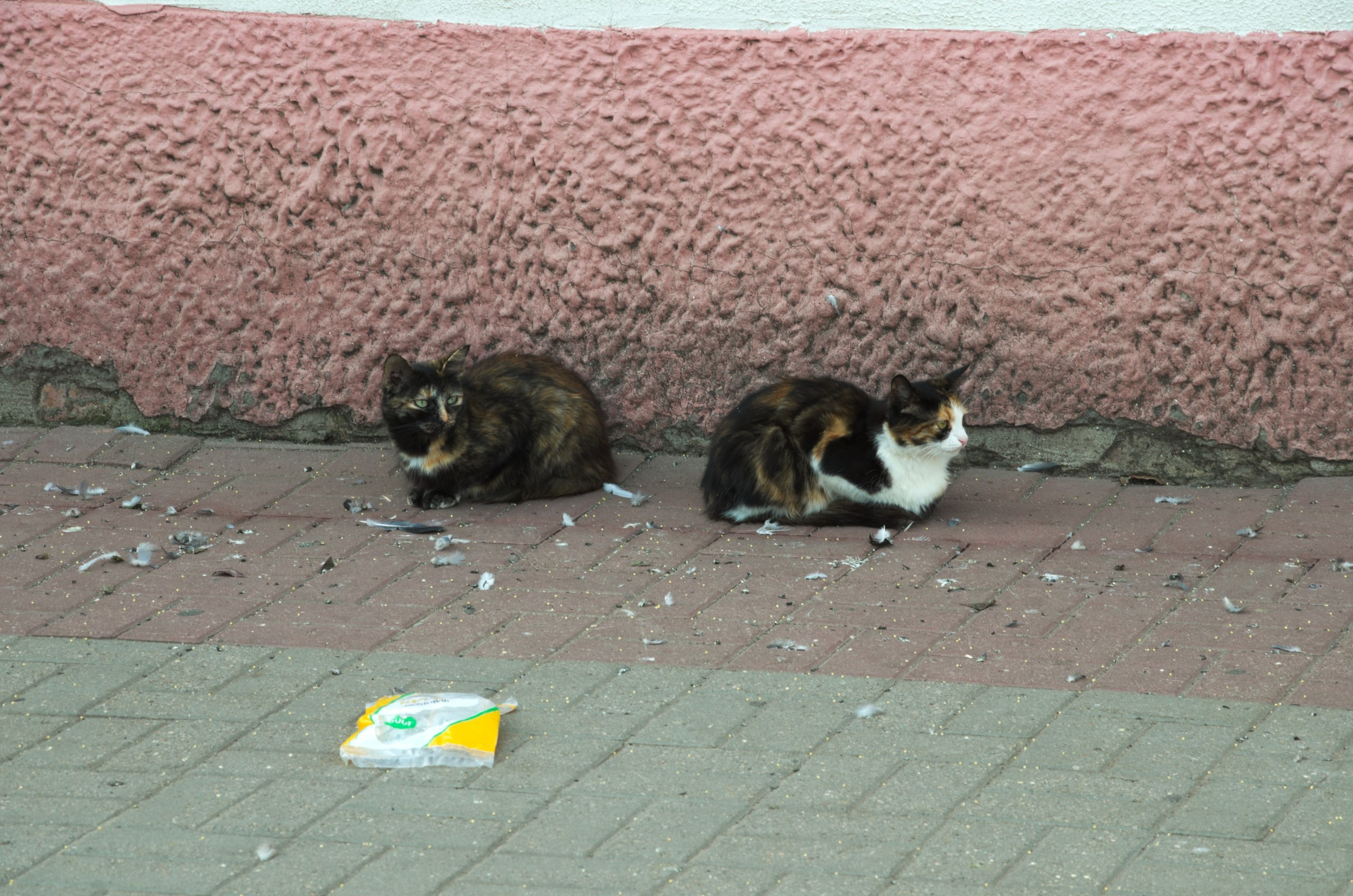 Егорьевск | 10.09.2016. Галерея Фантим