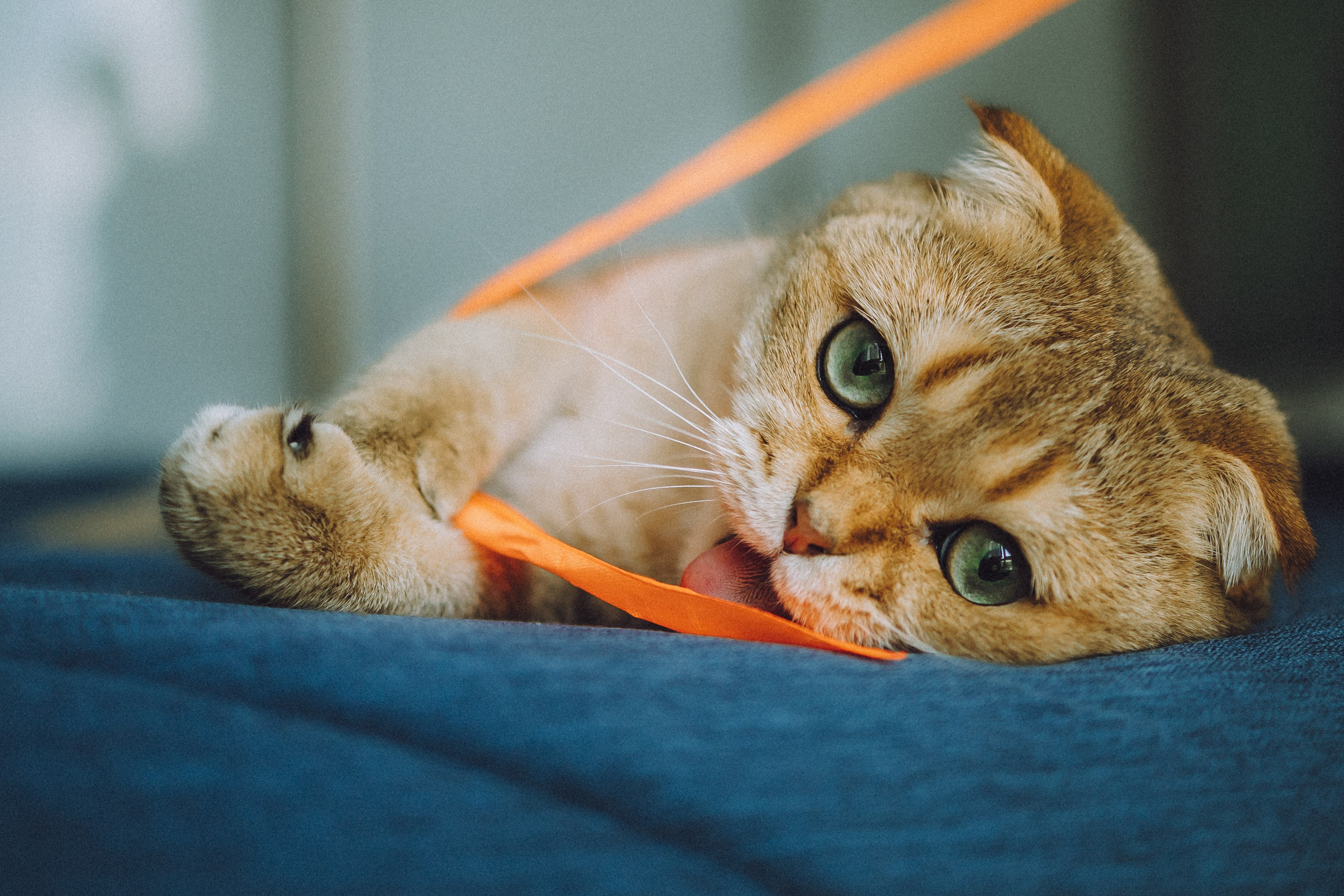 Генри и его семья