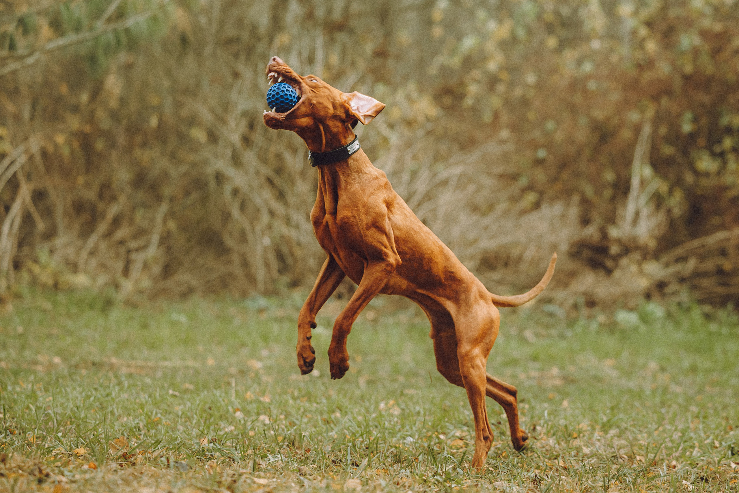 Дориан и его семья