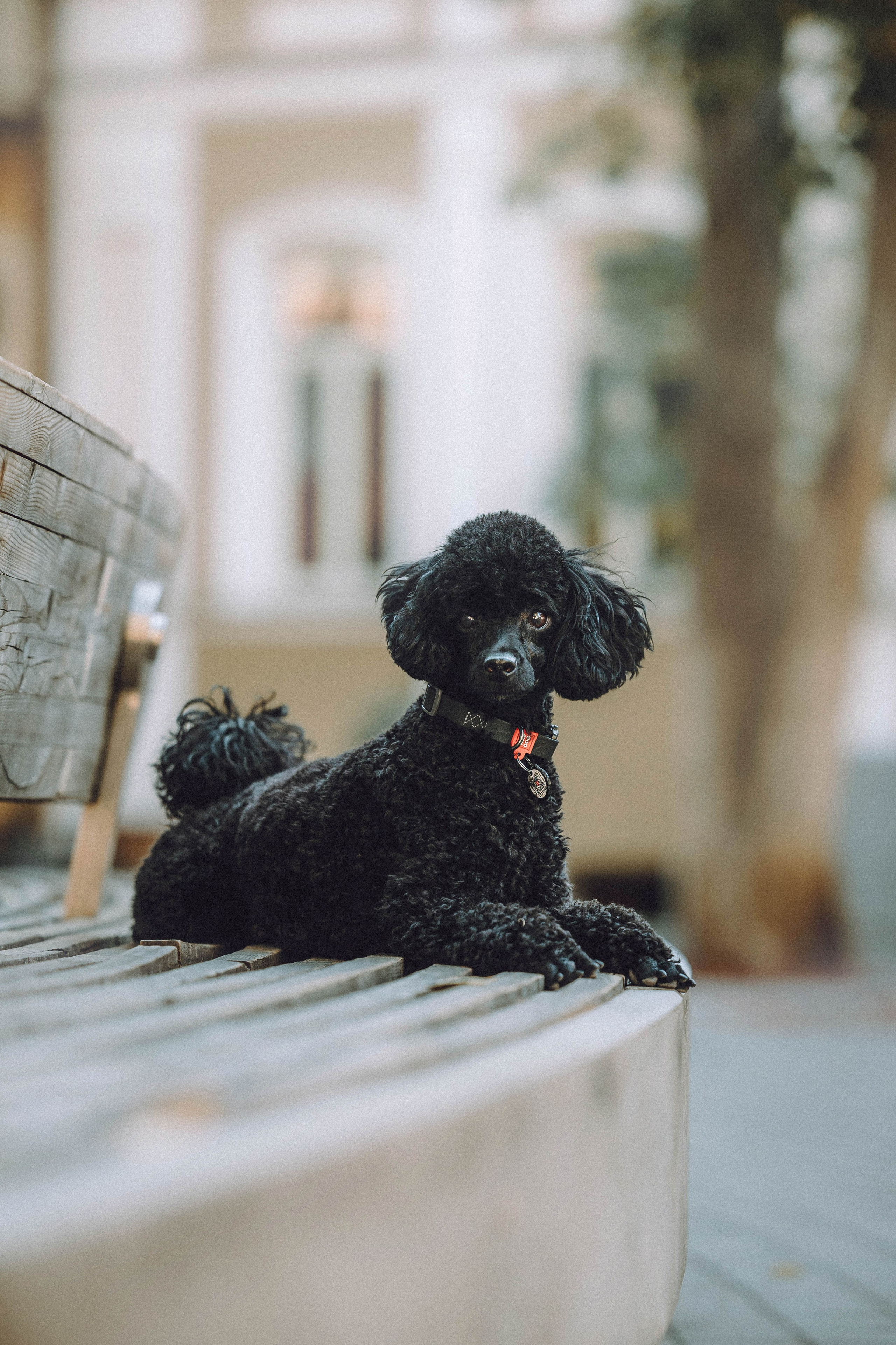 Игнат, Даша и Бэтти