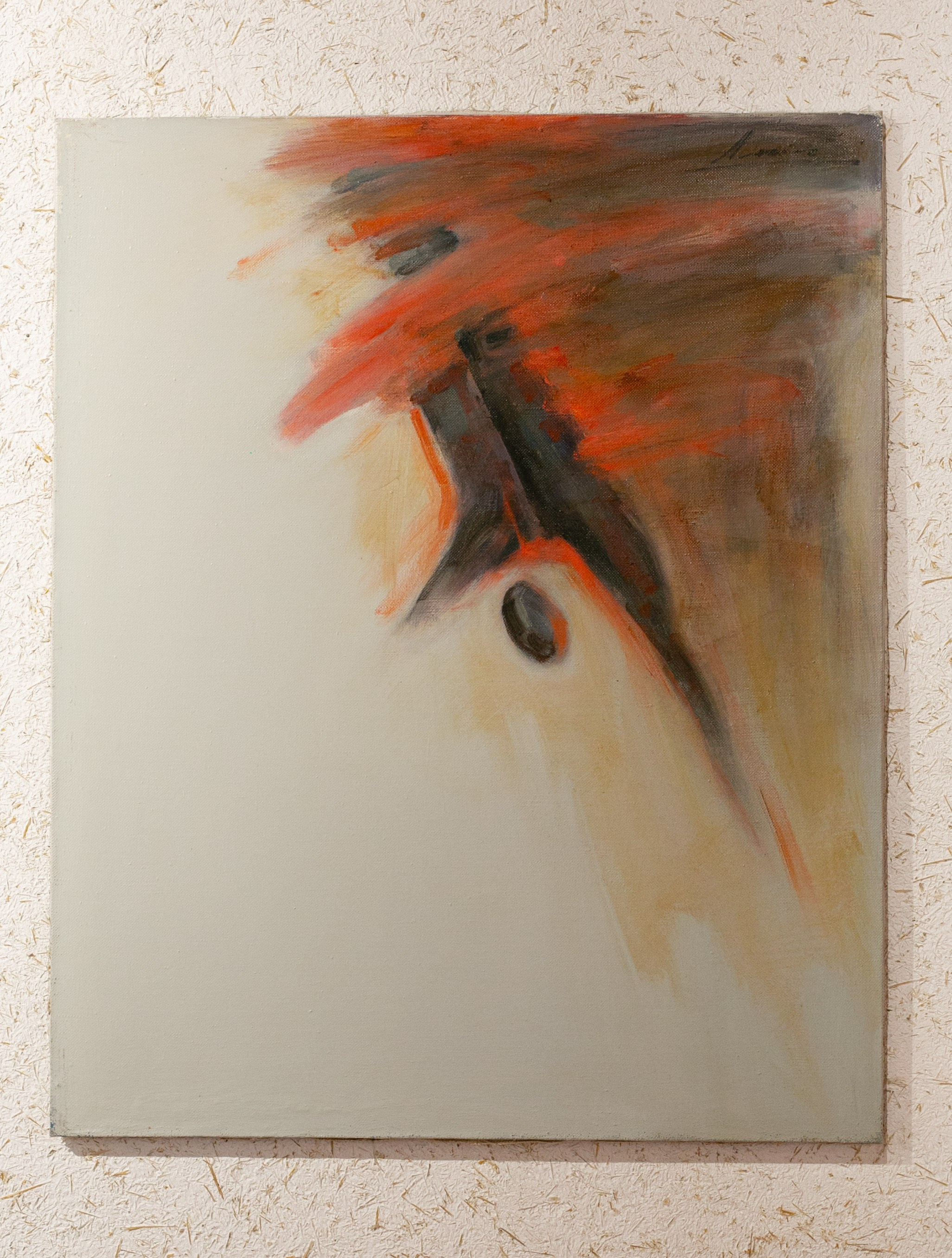 Alim Useinov. Beye Shevkiyeva Photography