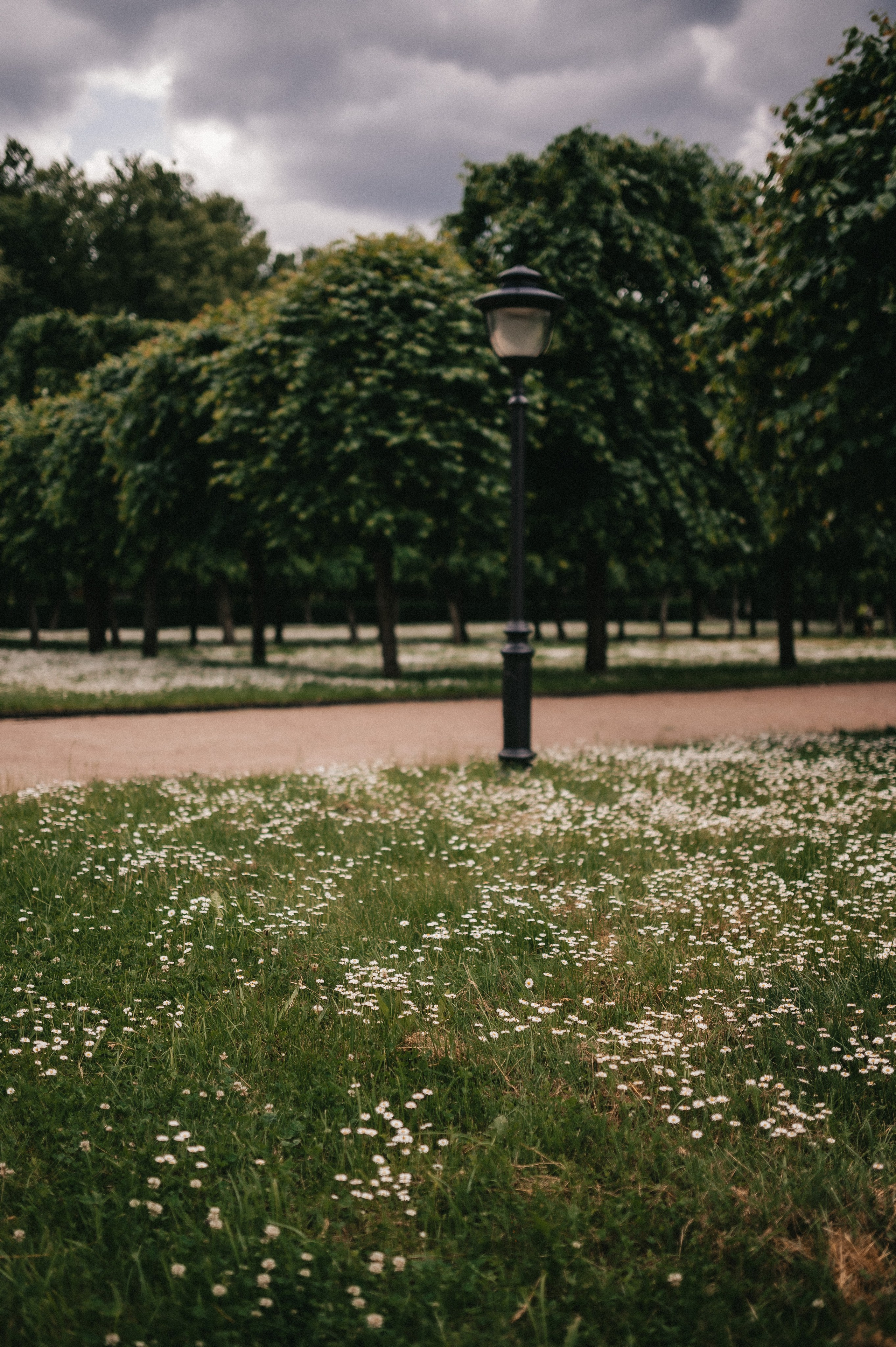 Максим и Лика. Архангельское. Семейный и свадебный lifestyle-фотограф в Москве Мария Петрова