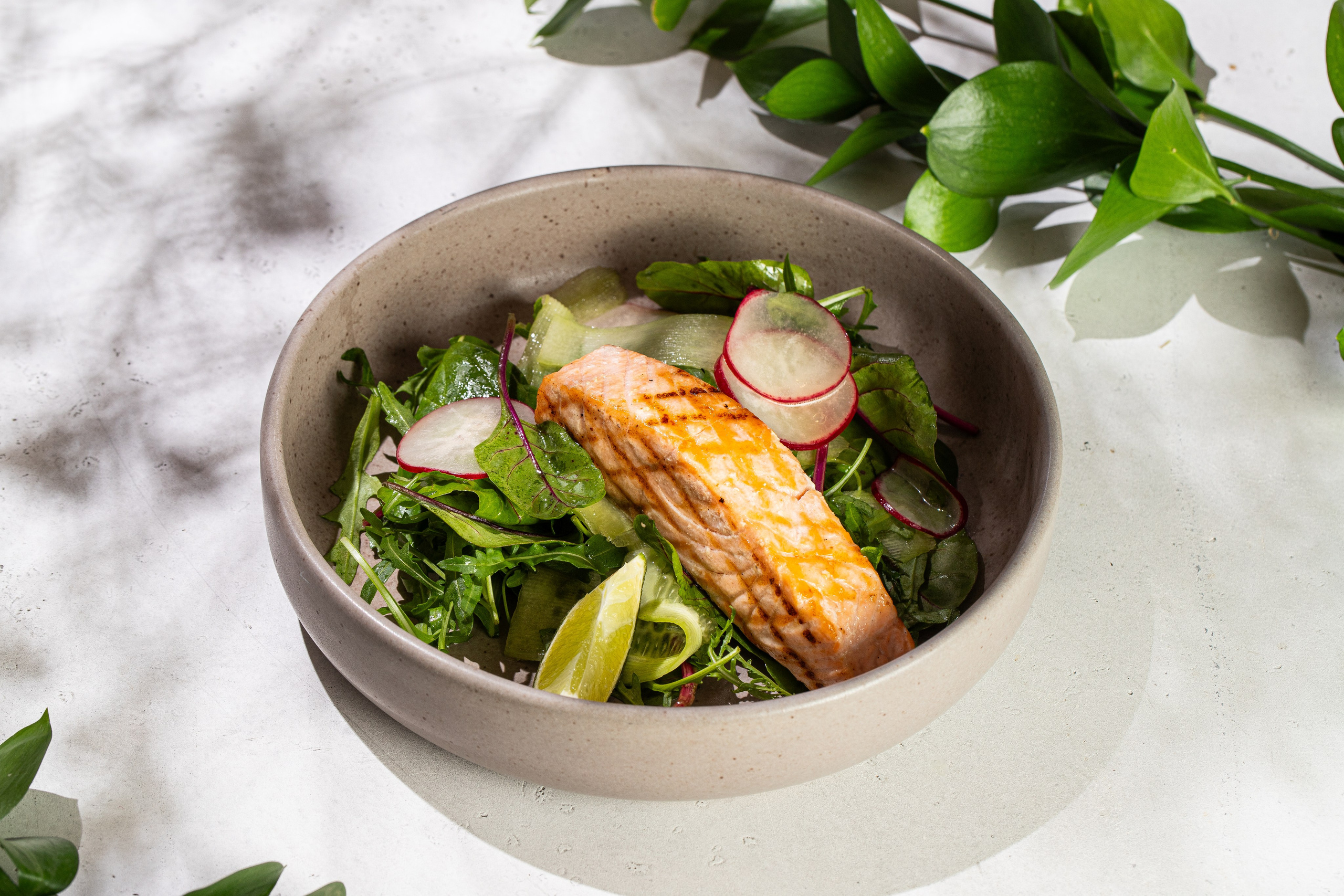 Кофейня «Чайка» Фитнес меню. Краснов Максим фуд-фотограф, предметный фотограф, Москва