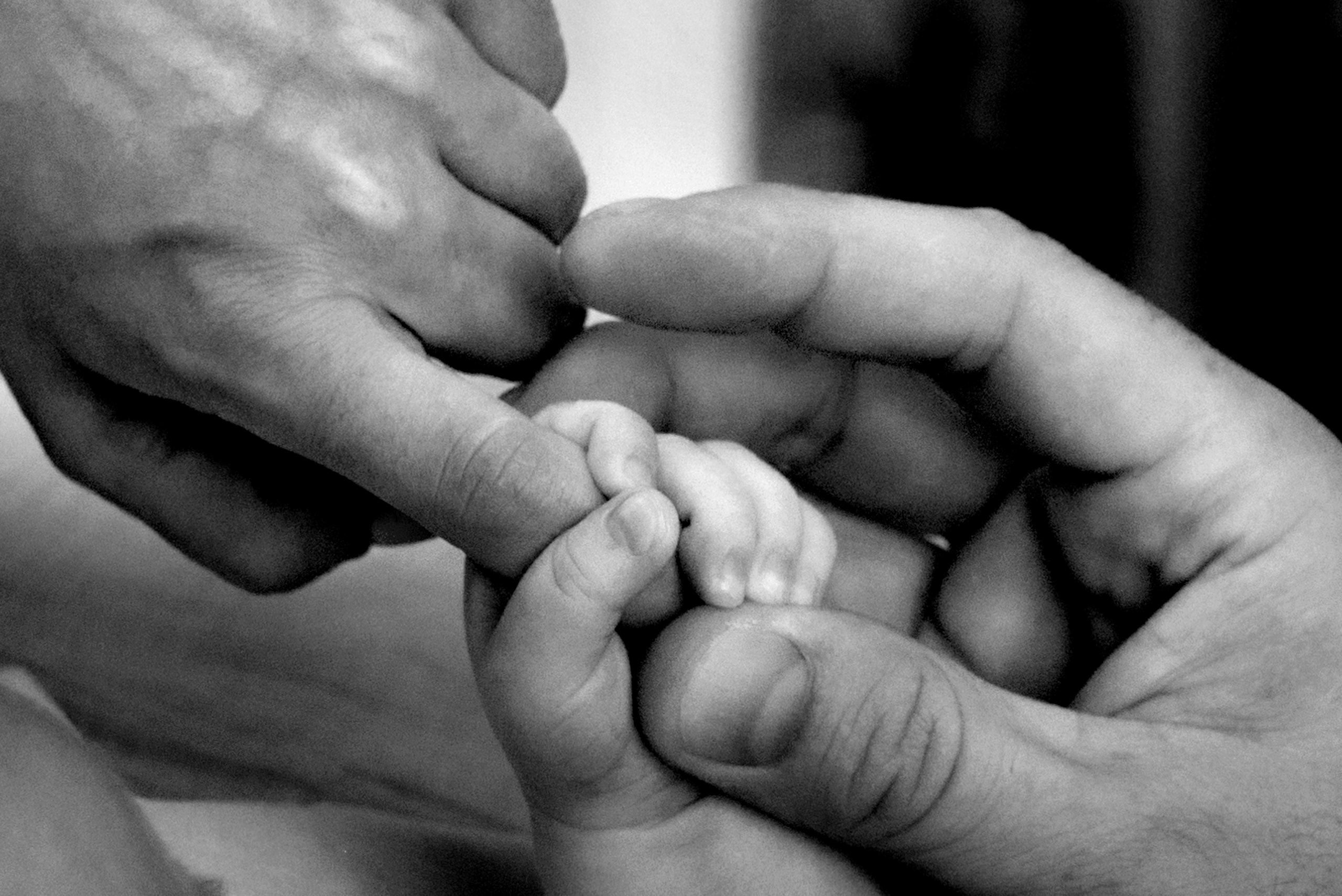 4 месяца (life)