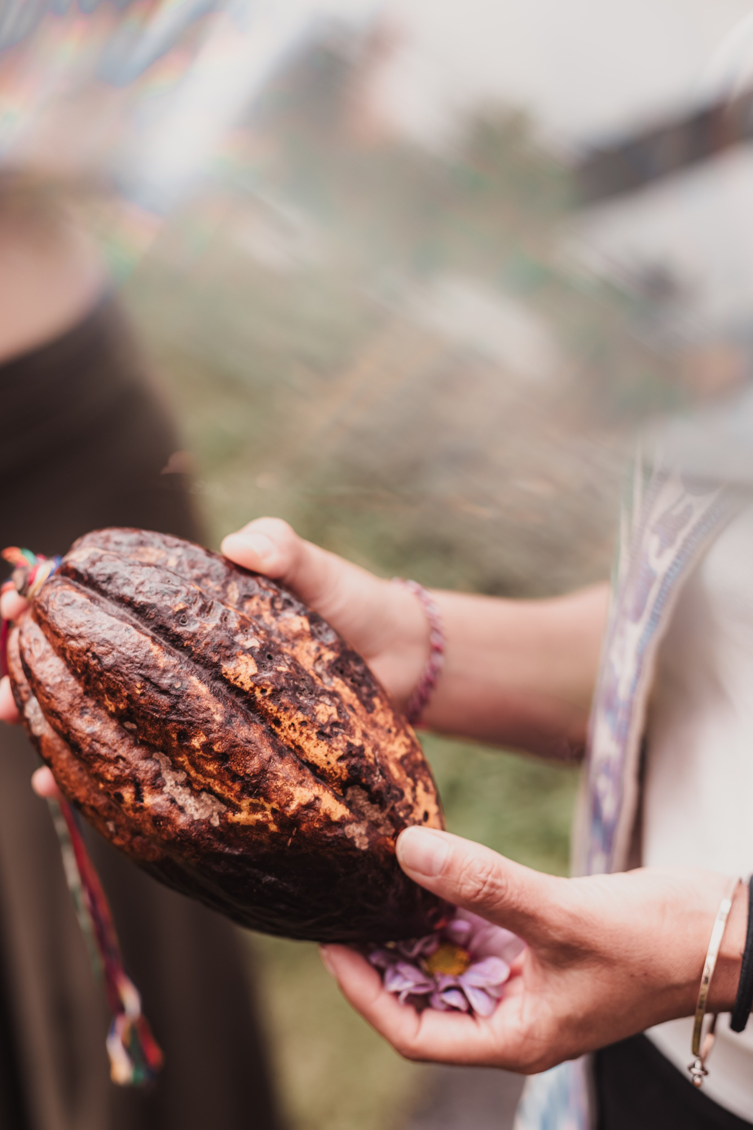 Cacao alchemy w Juan. Мариам Багдасарян