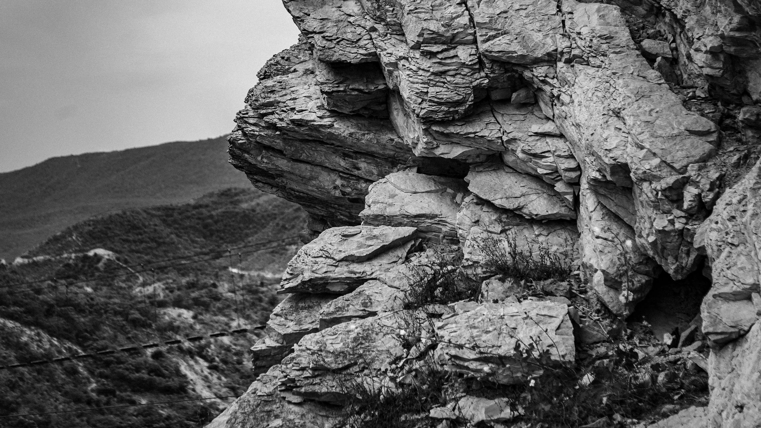 Отзывы. ГЛАЗА РАЗБЕГАЮТСЯ