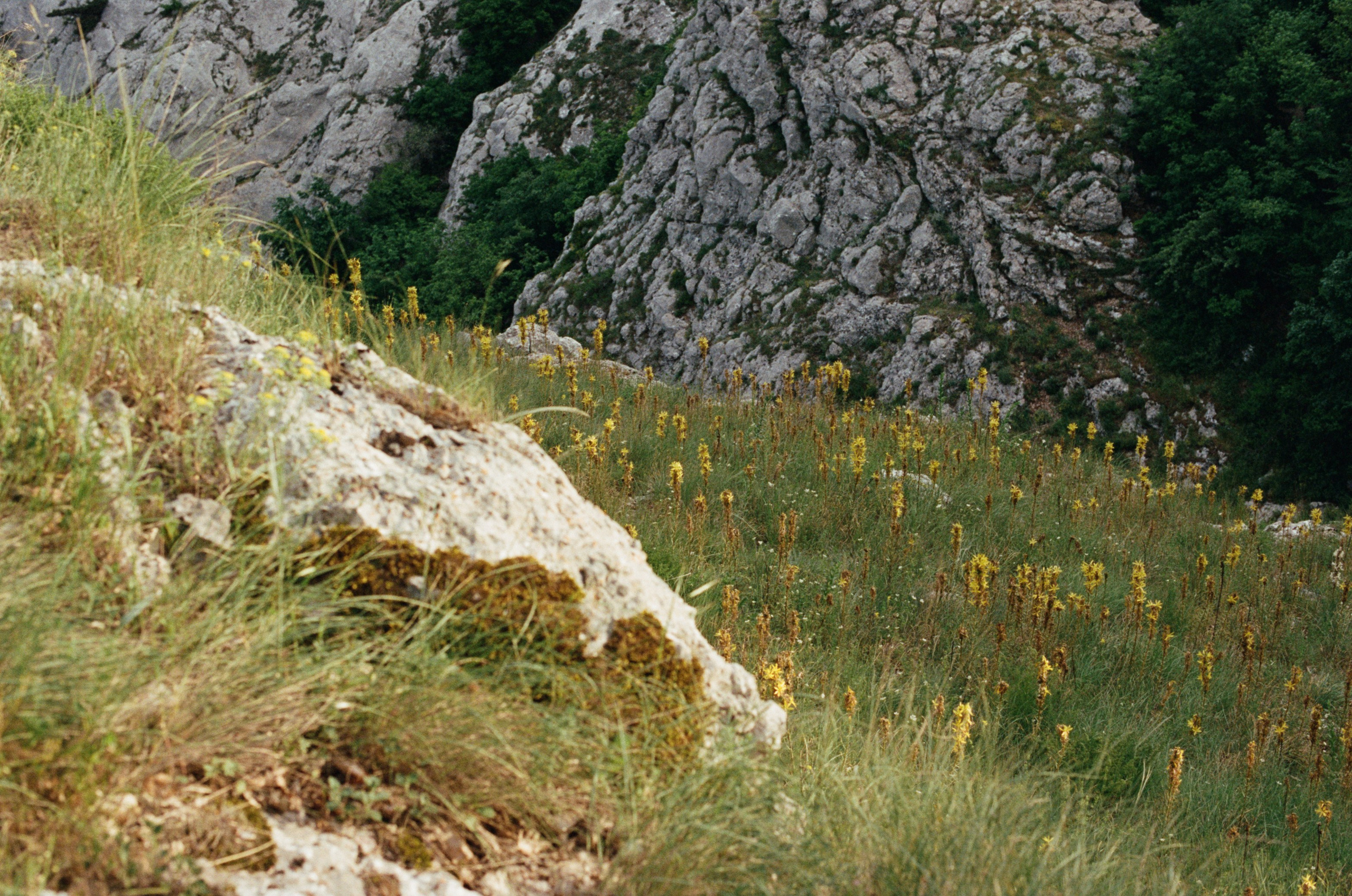 Silent running // ukraine, crimea. EVER EXPOSED