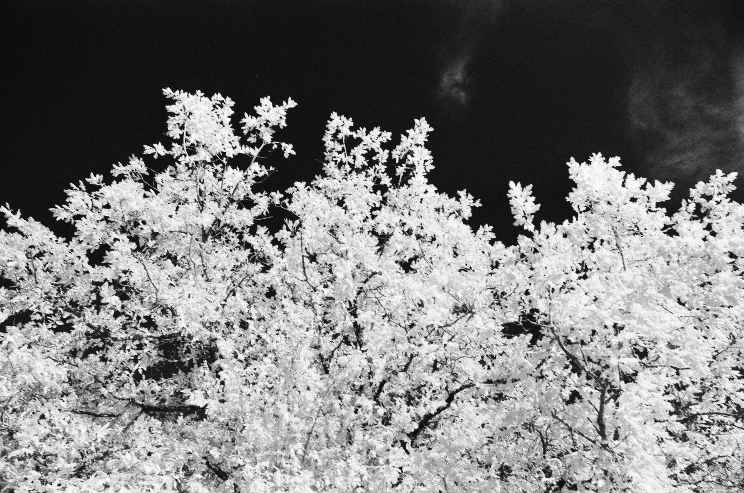 Point of no reply // ukraine, crimea VII. EVER EXPOSED