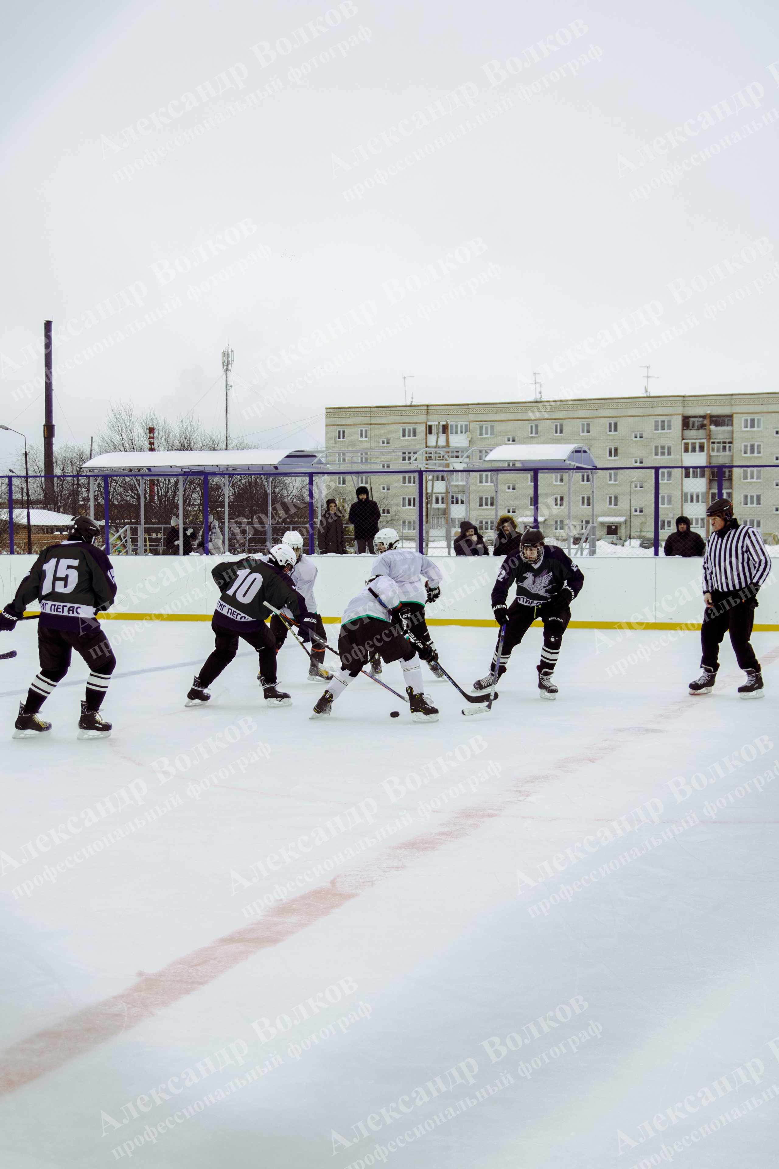 Хоккей 29.12.2024