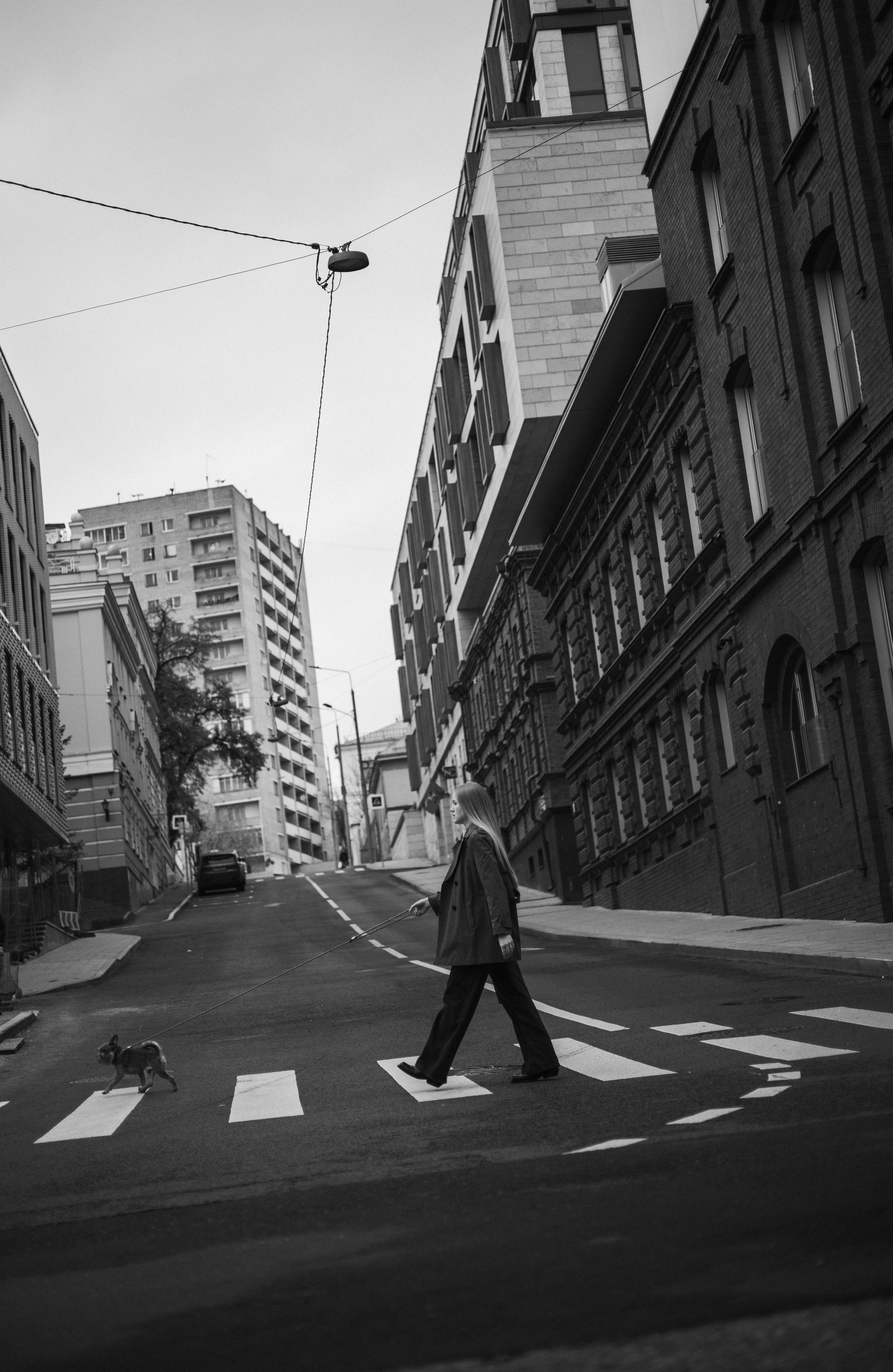 Полина и Джаред. Фотограф животных Евгения Верцинская