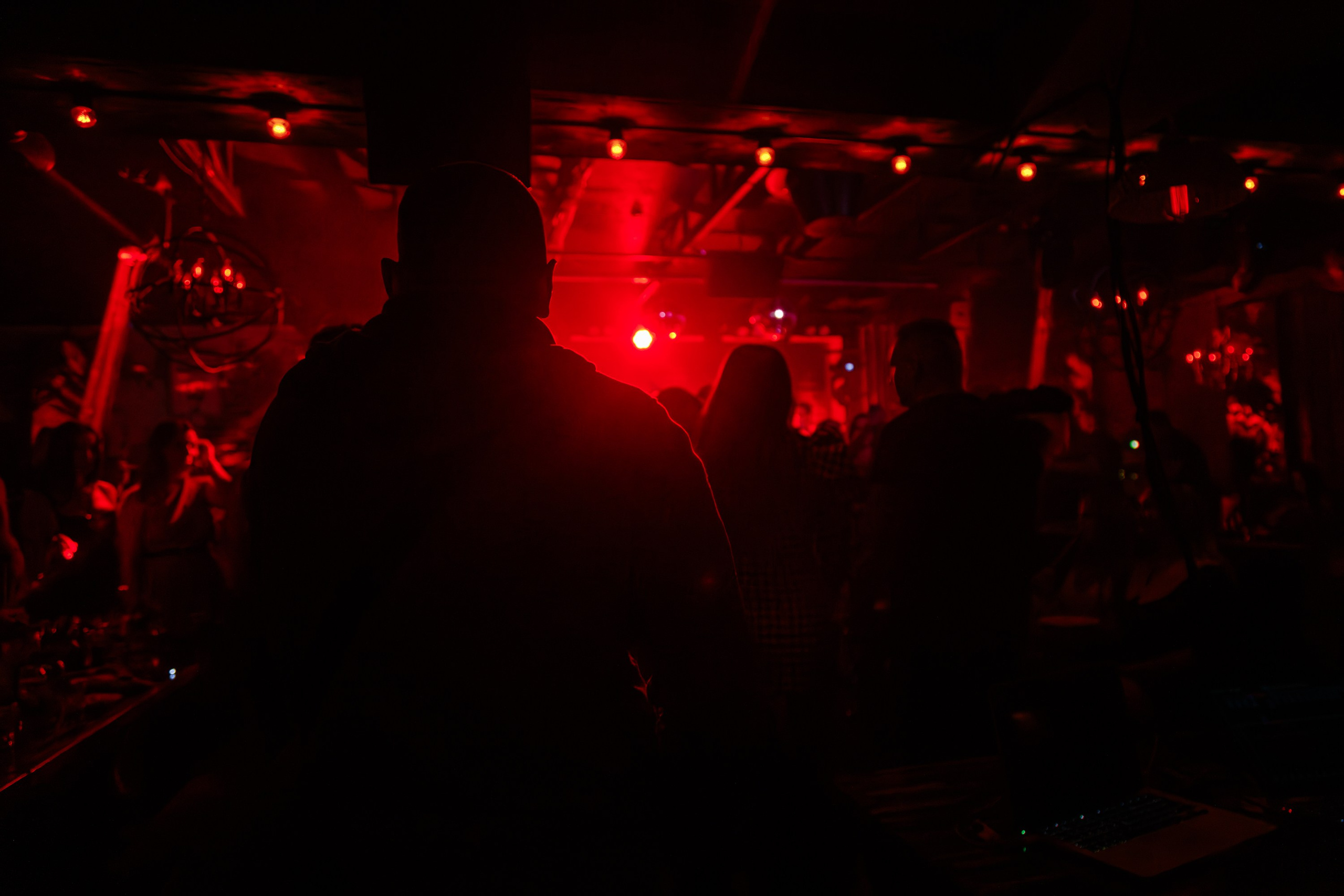 «МИША МАРВИН"_Чайка на пляже_Ялта_14.06.2025. Аминов Руслан | Фотограф