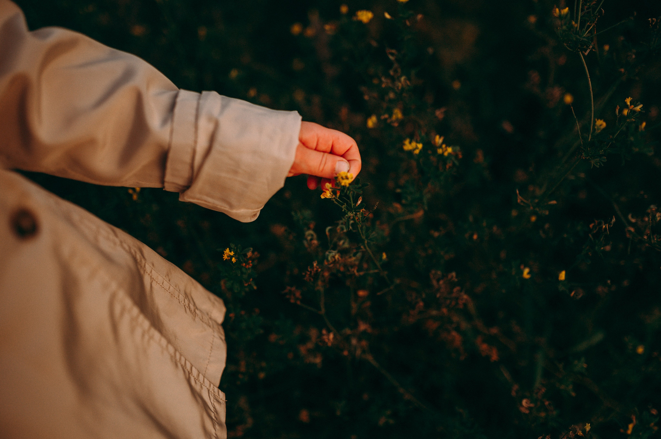 Лаки парк семейные осень. Фотограф в Болгарии. Фотограф в Созополе