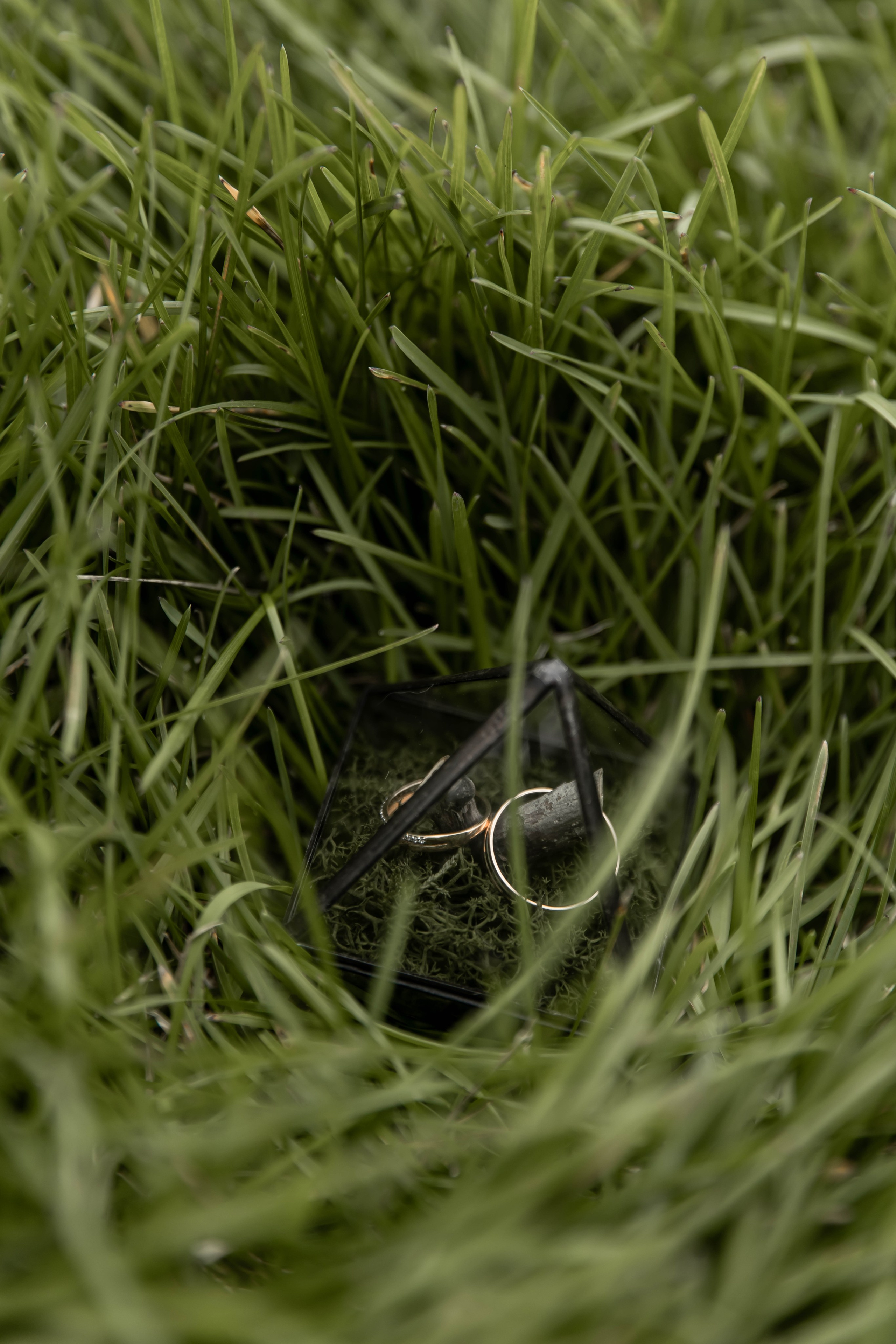 Выездная регистрация + Барвиха + банкет. Свадебный и семейный фотограф в Москве Диана Левченко