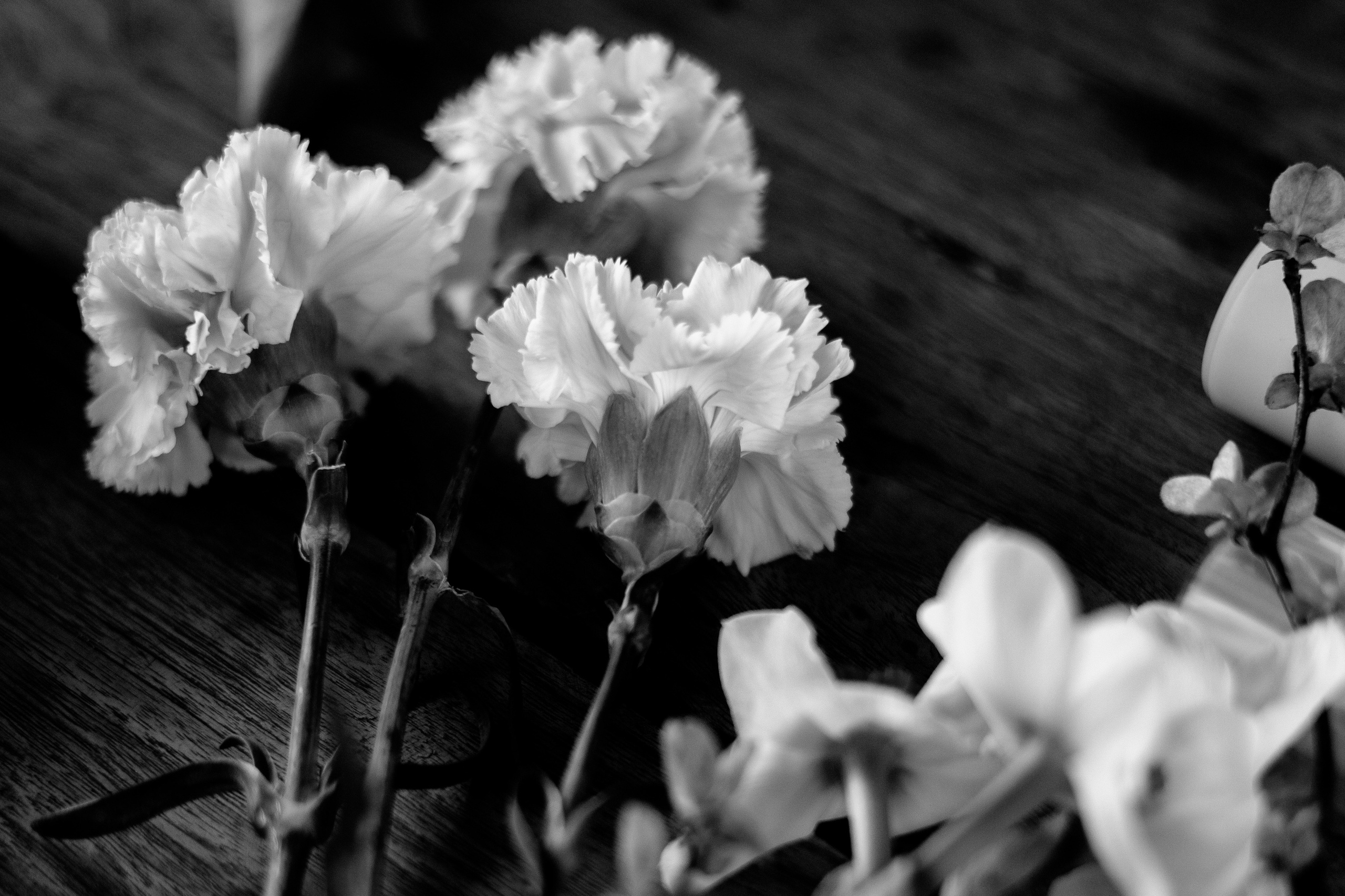 Авторские пресеты для Lightroom Mobile