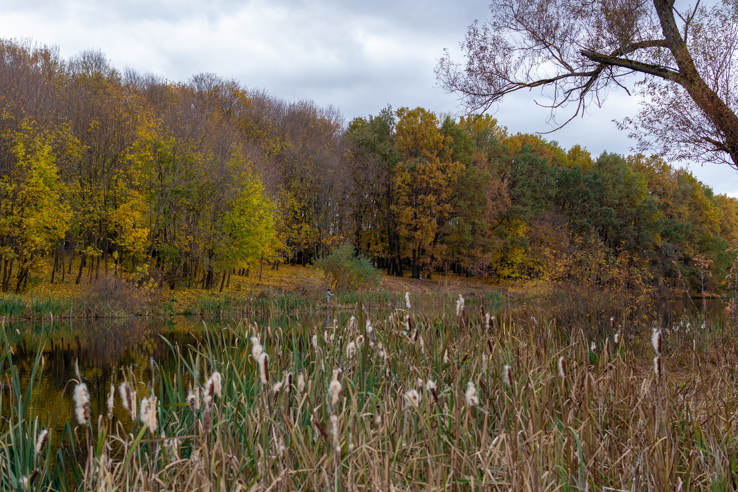 Старенький Nikon 3100 и nikkor 35 mm 1.8 (фото проявленные из RAW-NEF файлов). Фотограф в Туле Крупский АнДРей. Фотостудия «КАДР71» в Туле