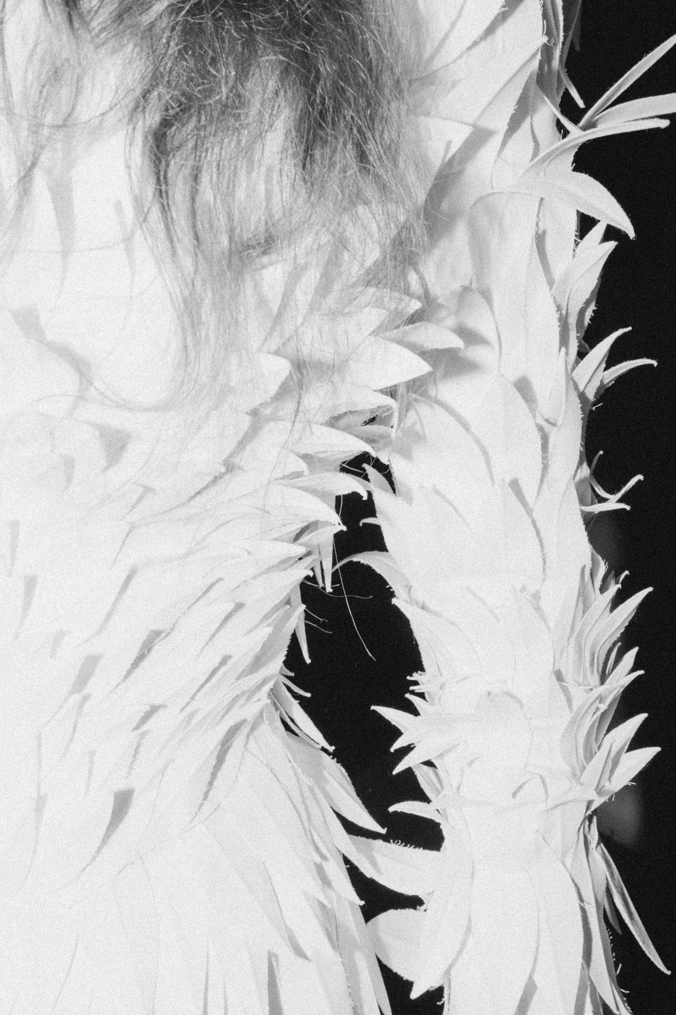 BSD. Фотограф Гвоздева Варвара / Москва