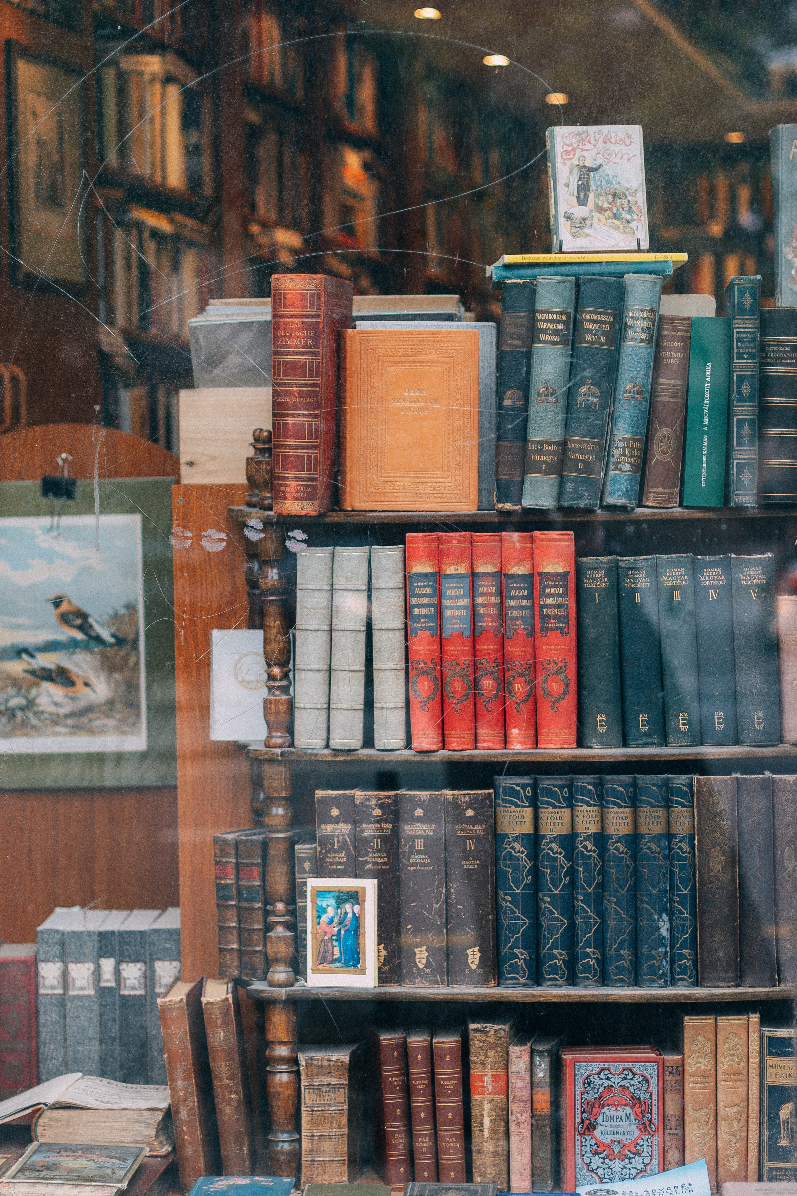 Будапешт. Аня Степанова