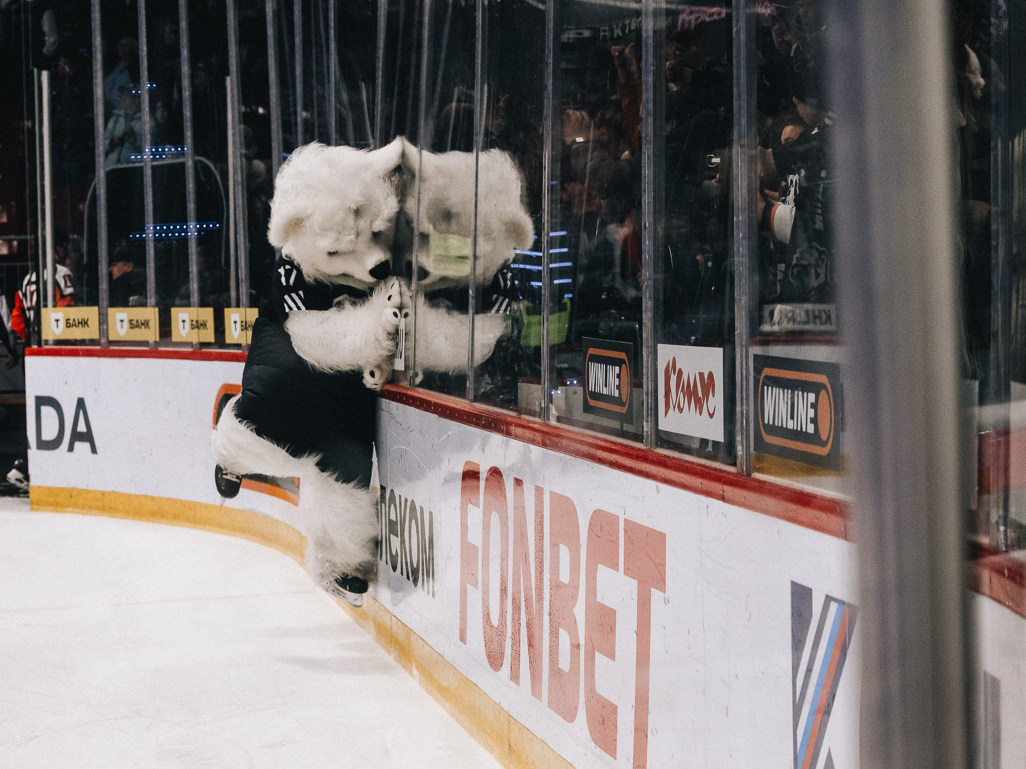 20251126 Traktor Dragon. Фотограф Иван Гуляев