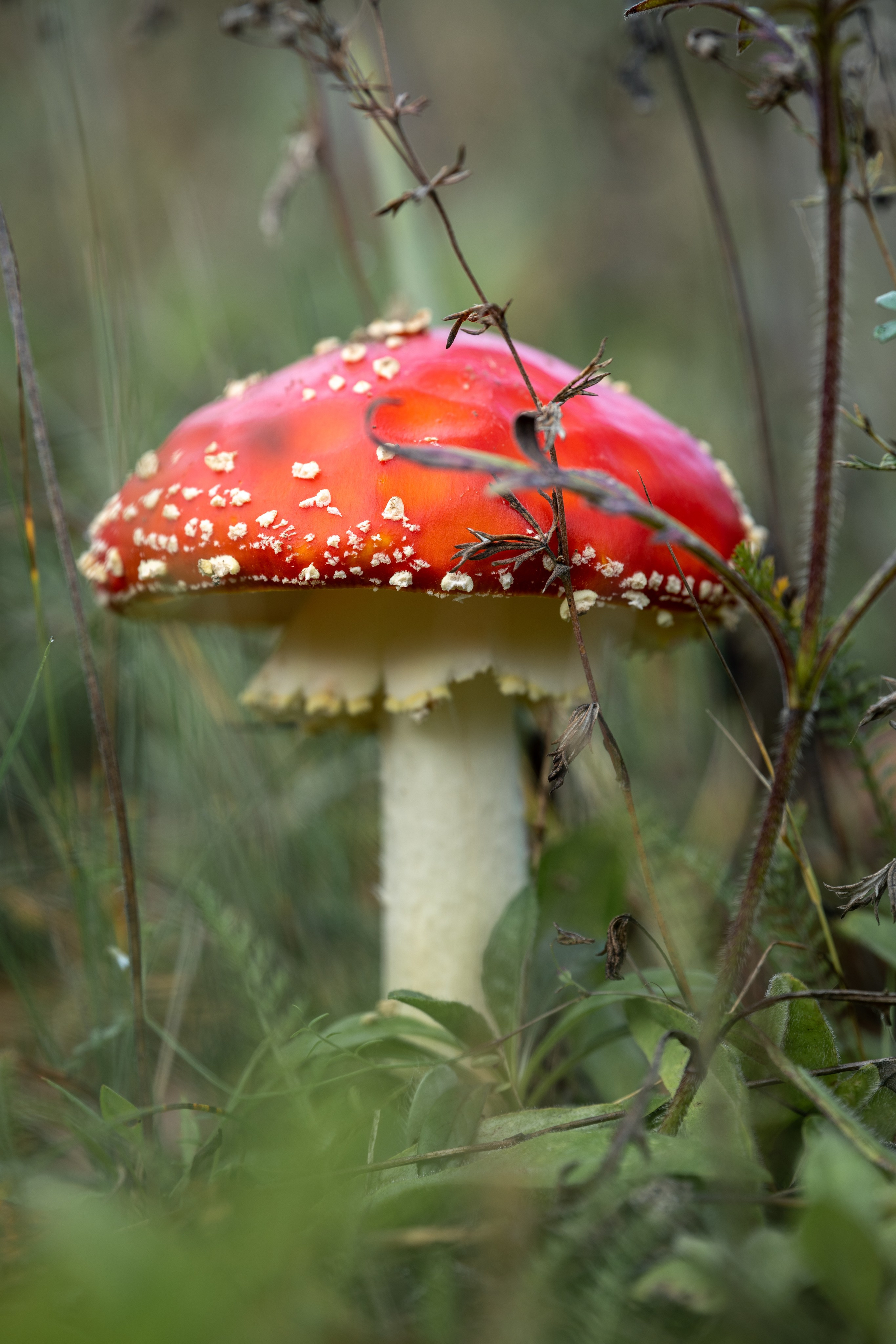 Природные пейзажи. Наталия Клевинскас портретный фотограф в Костроме