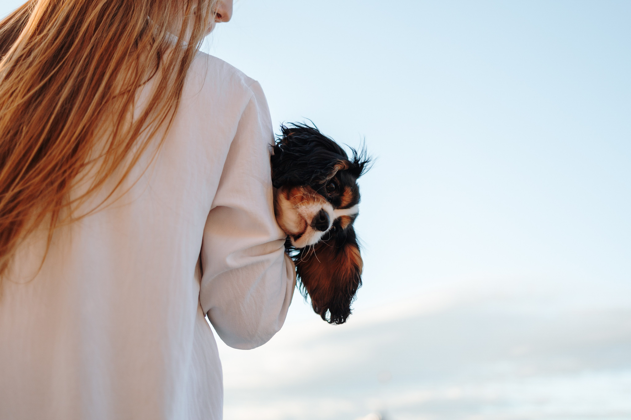 Аня, Стеша и Степан. Фотограф — Анималист | Санкт-Петербург