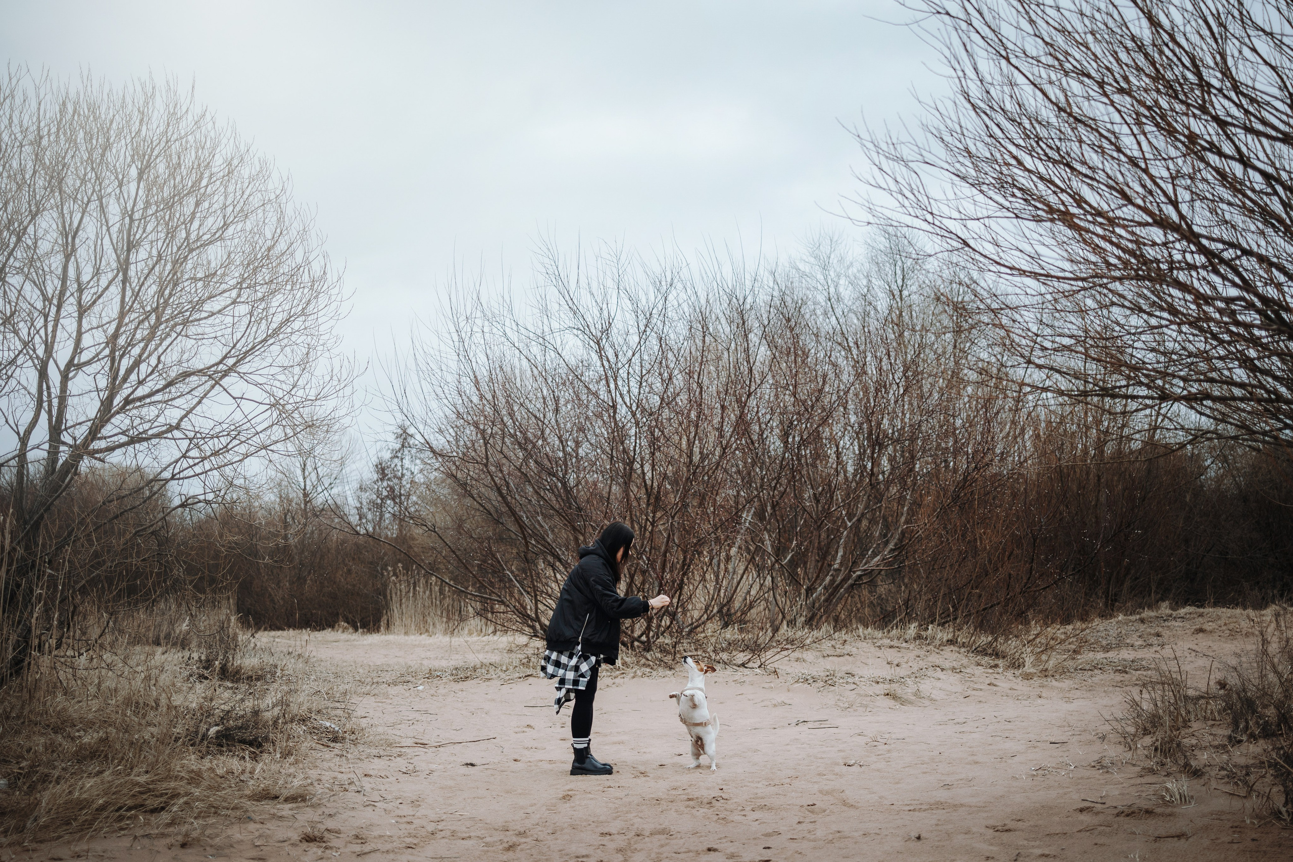 Саша и Джеки. Фотограф — Анималист | Санкт-Петербург