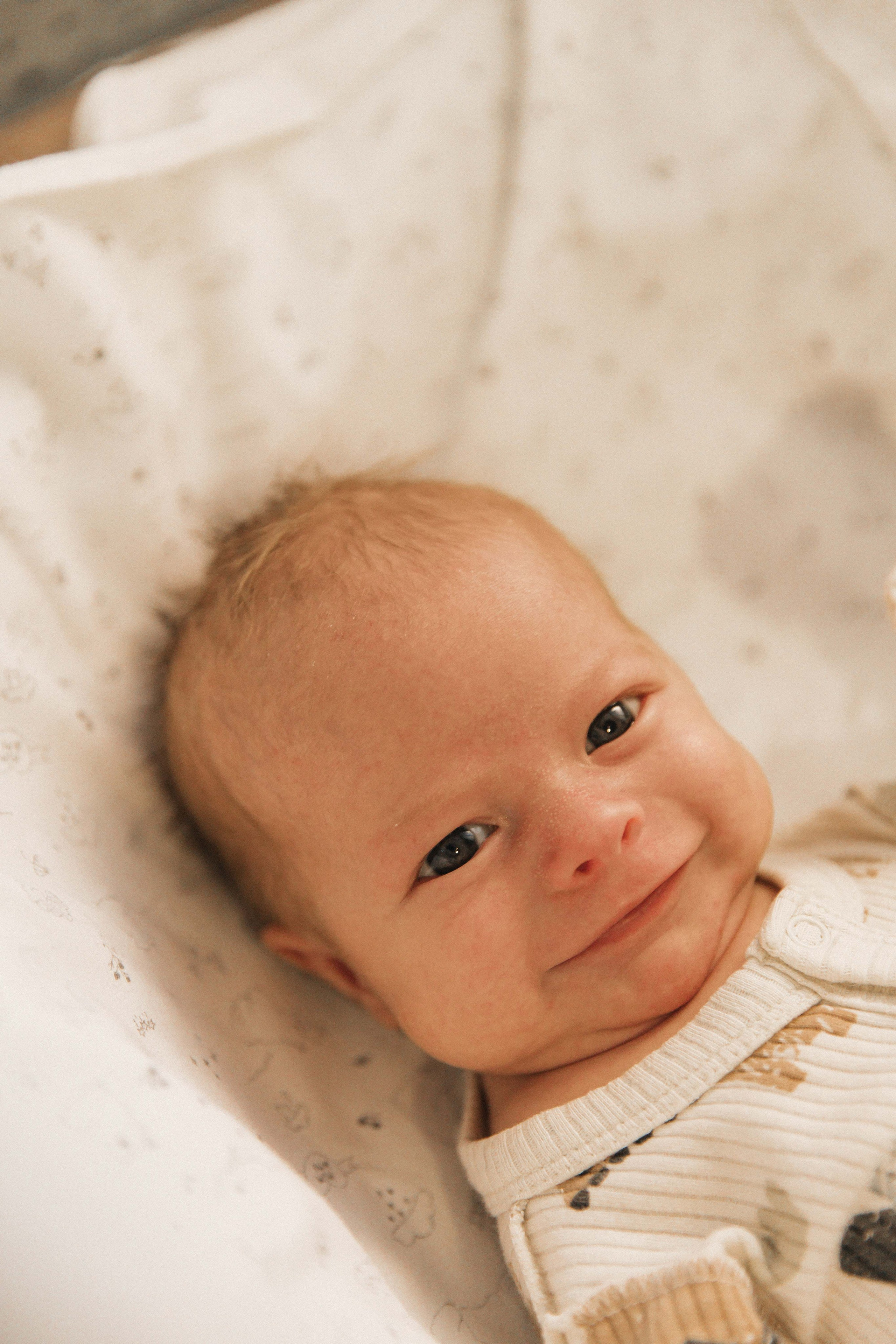 Лев. Фотограф Анастасия Петрова