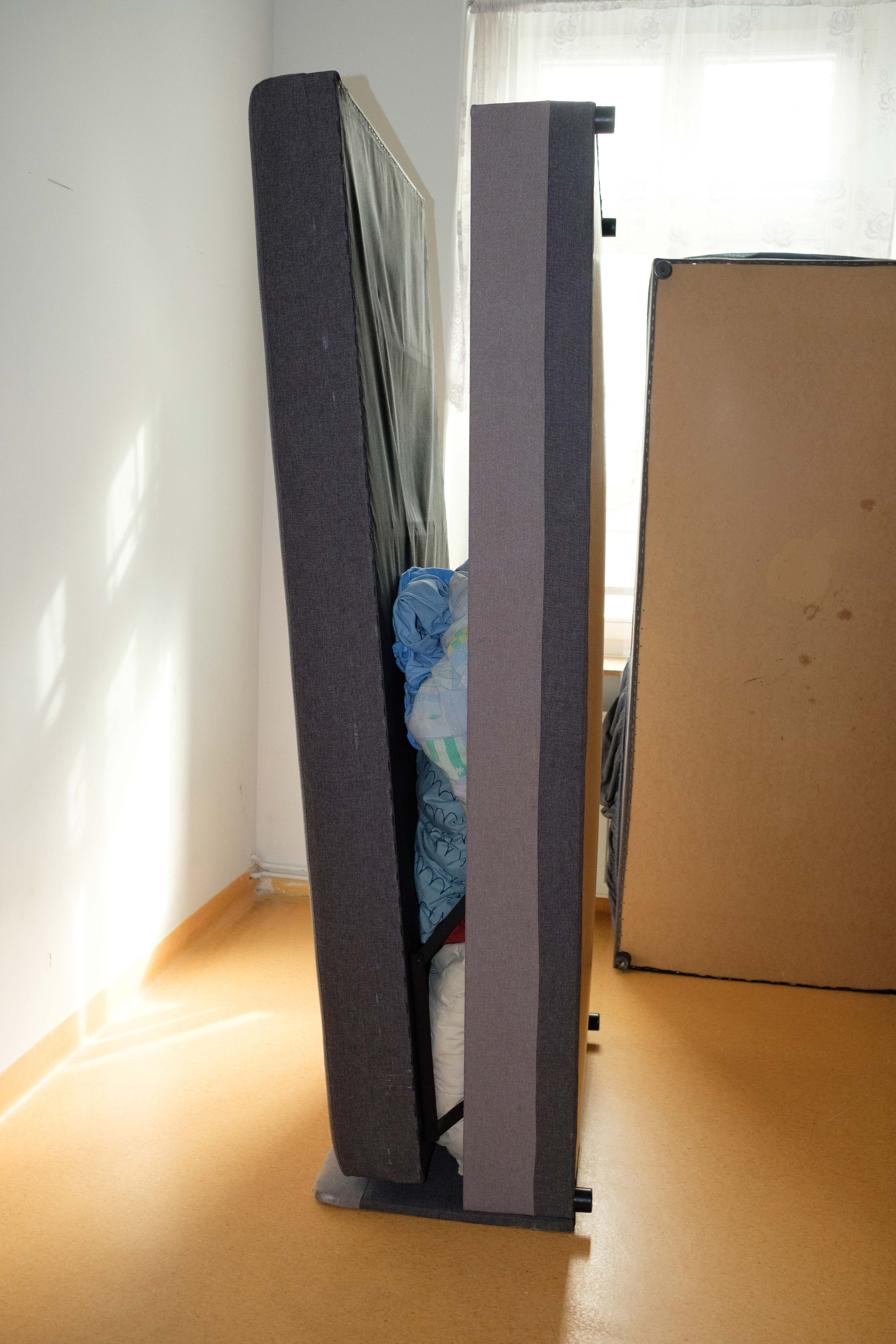 Growing pains. Photographer, Documentary and Art