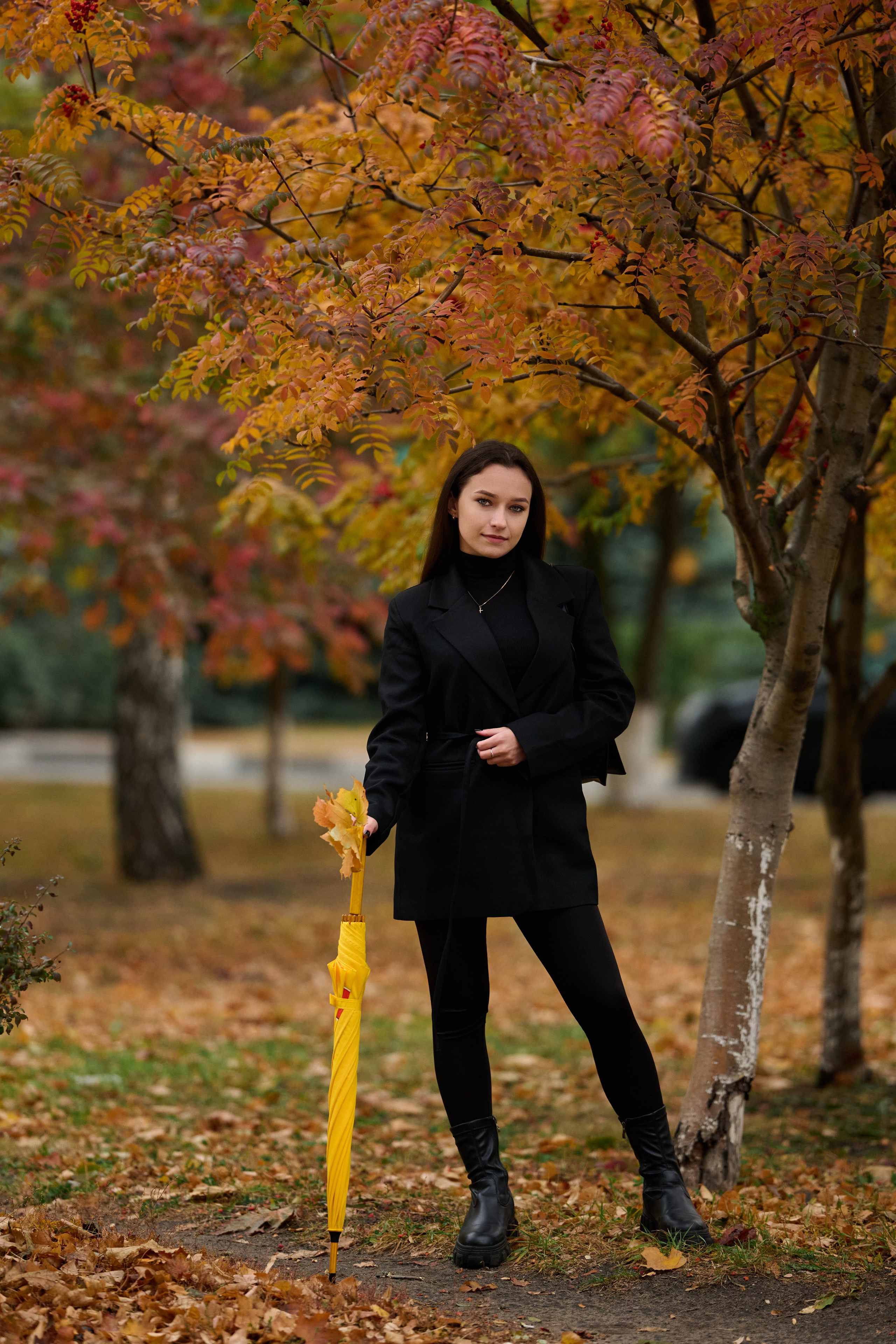 Золотая осень в Старом Осколе